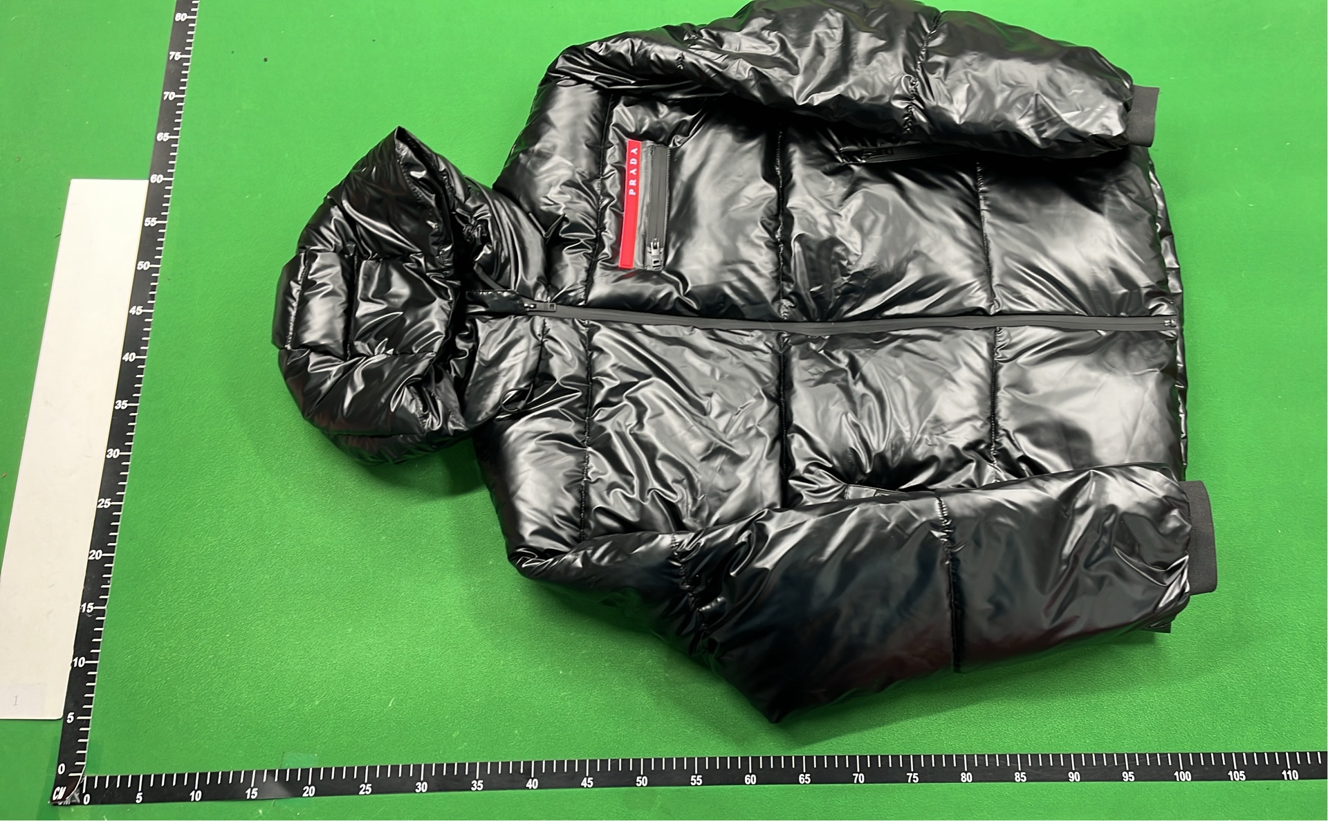 The North Face x Gucci Puffer Jacket