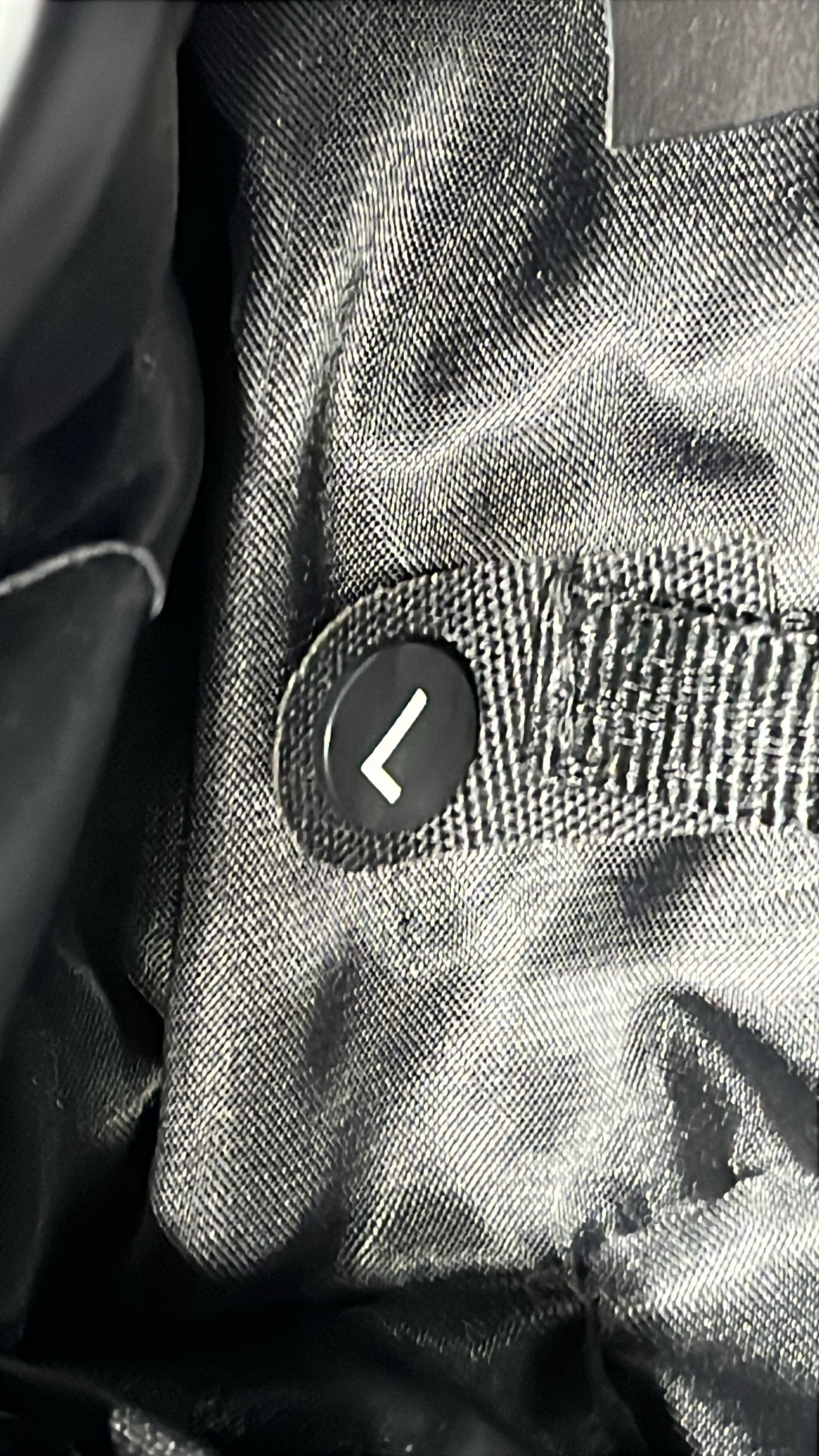 The North Face x Gucci Puffer Jacket