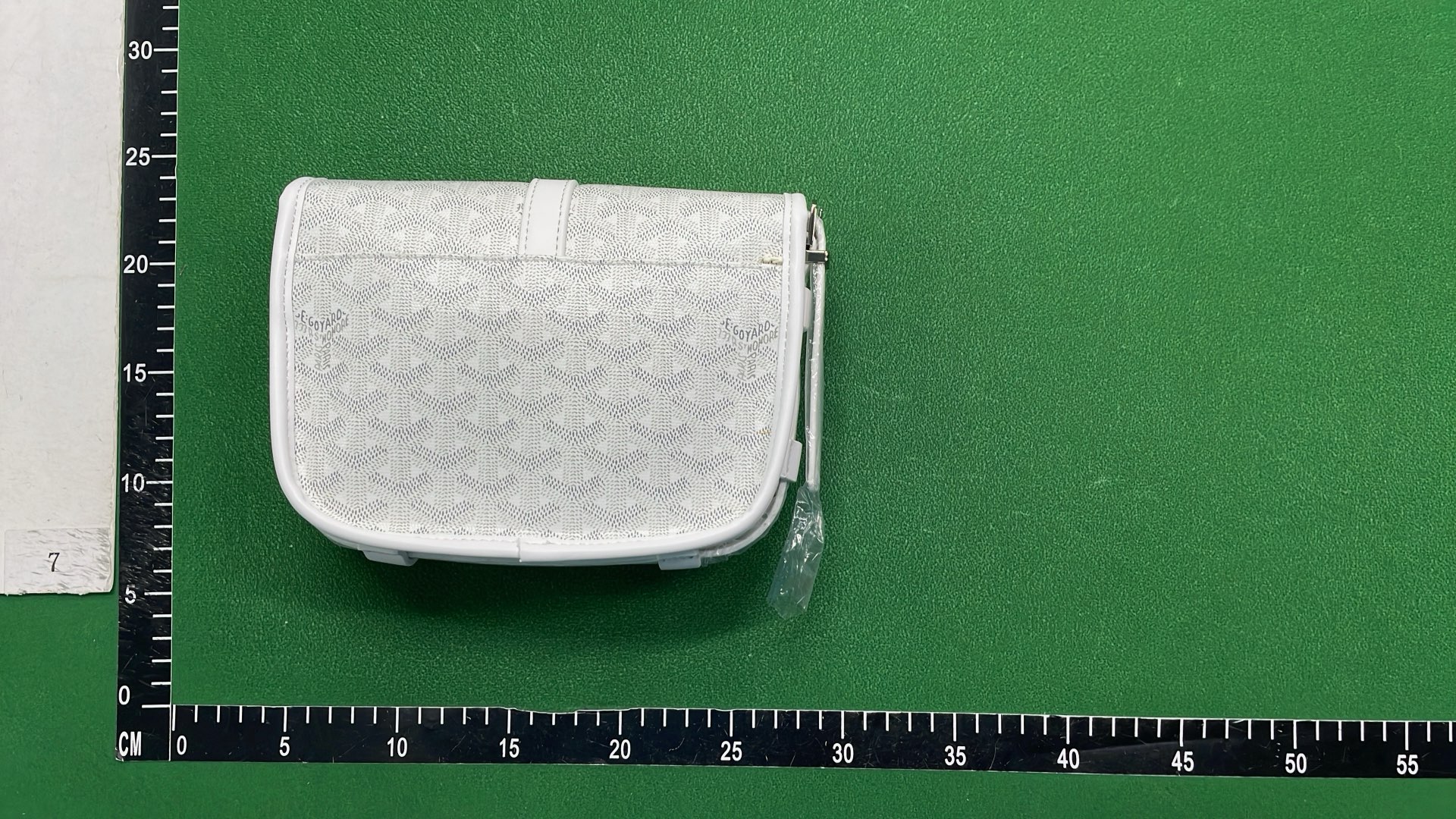 Goyard Monogram Toiletry Bag for Travel