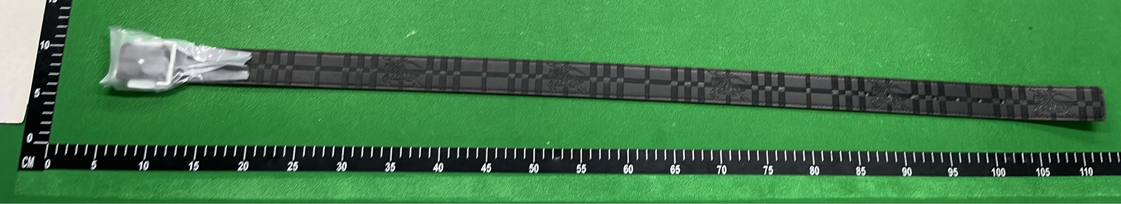 Burberry Monogram Belt with Iconic Buckle