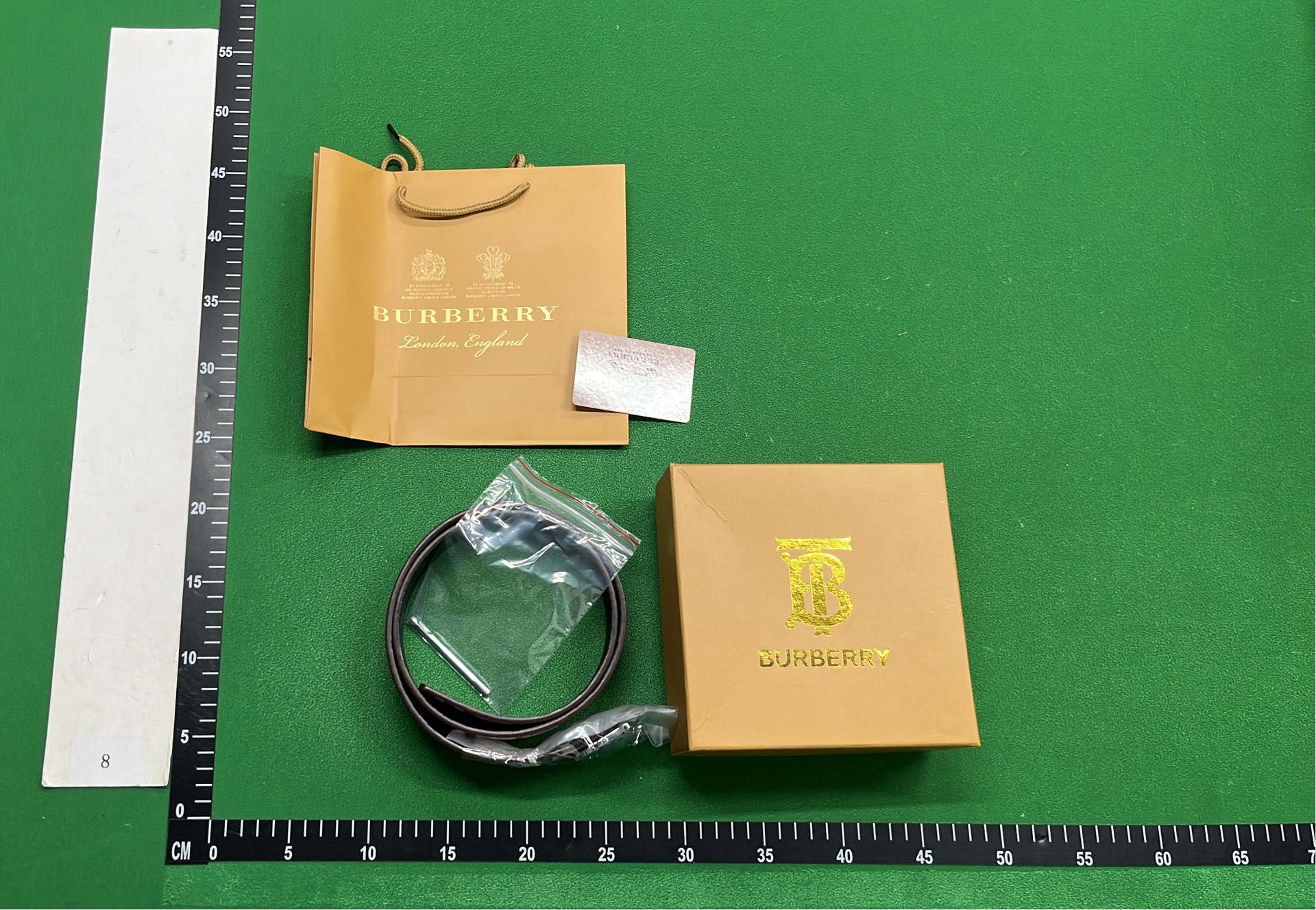 Burberry Monogram Belt with Iconic Buckle