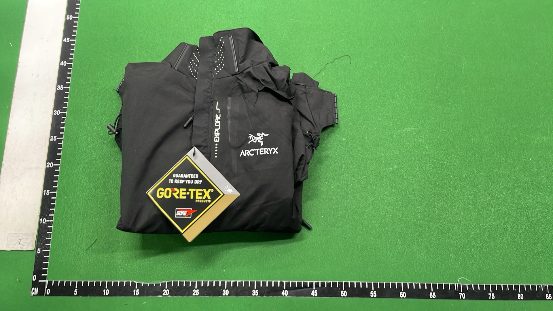 Arc'teryx GORE-TEX Jacket with Hood and Adjustable Fit
