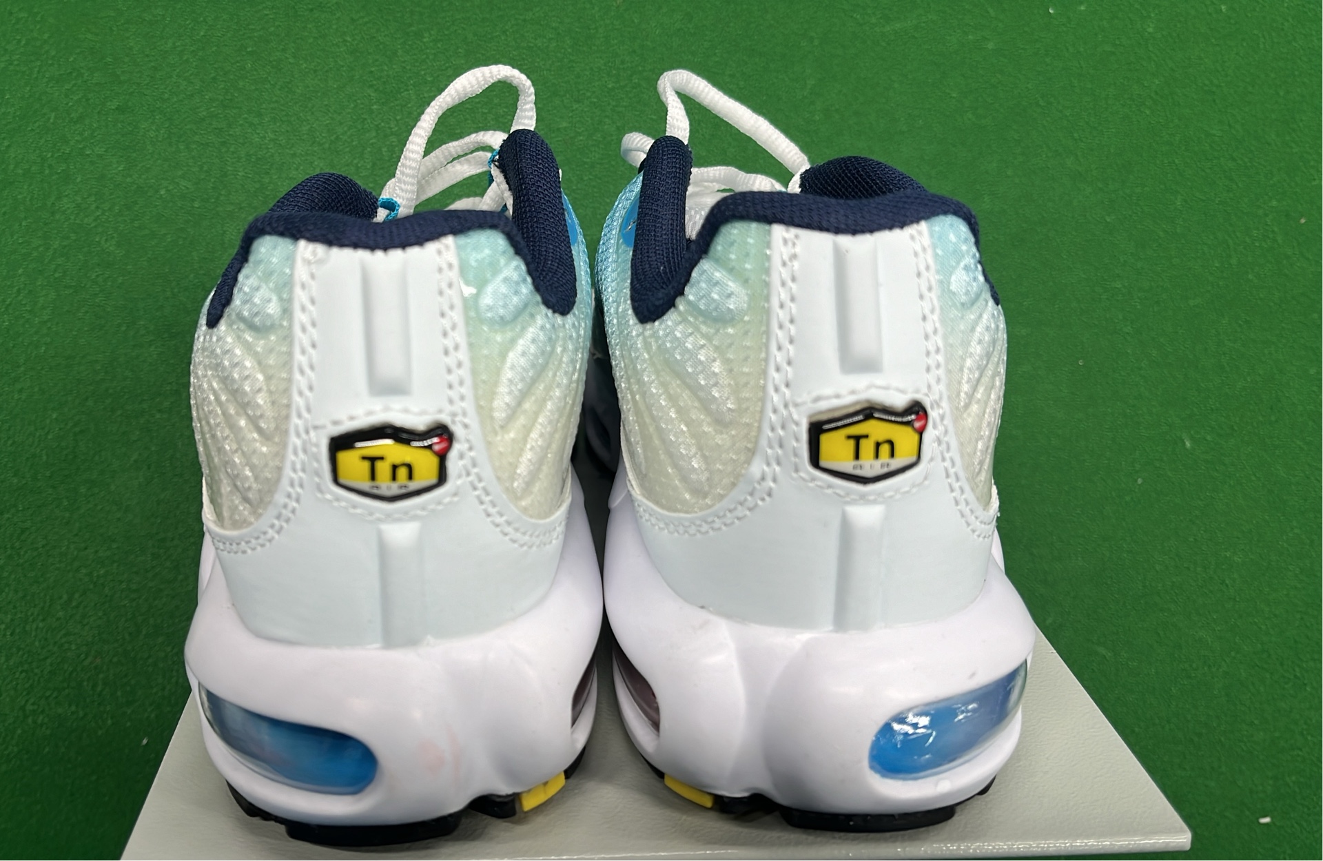 Nike Air Max TN Shoes - Trendy Sneakers for Men and Women