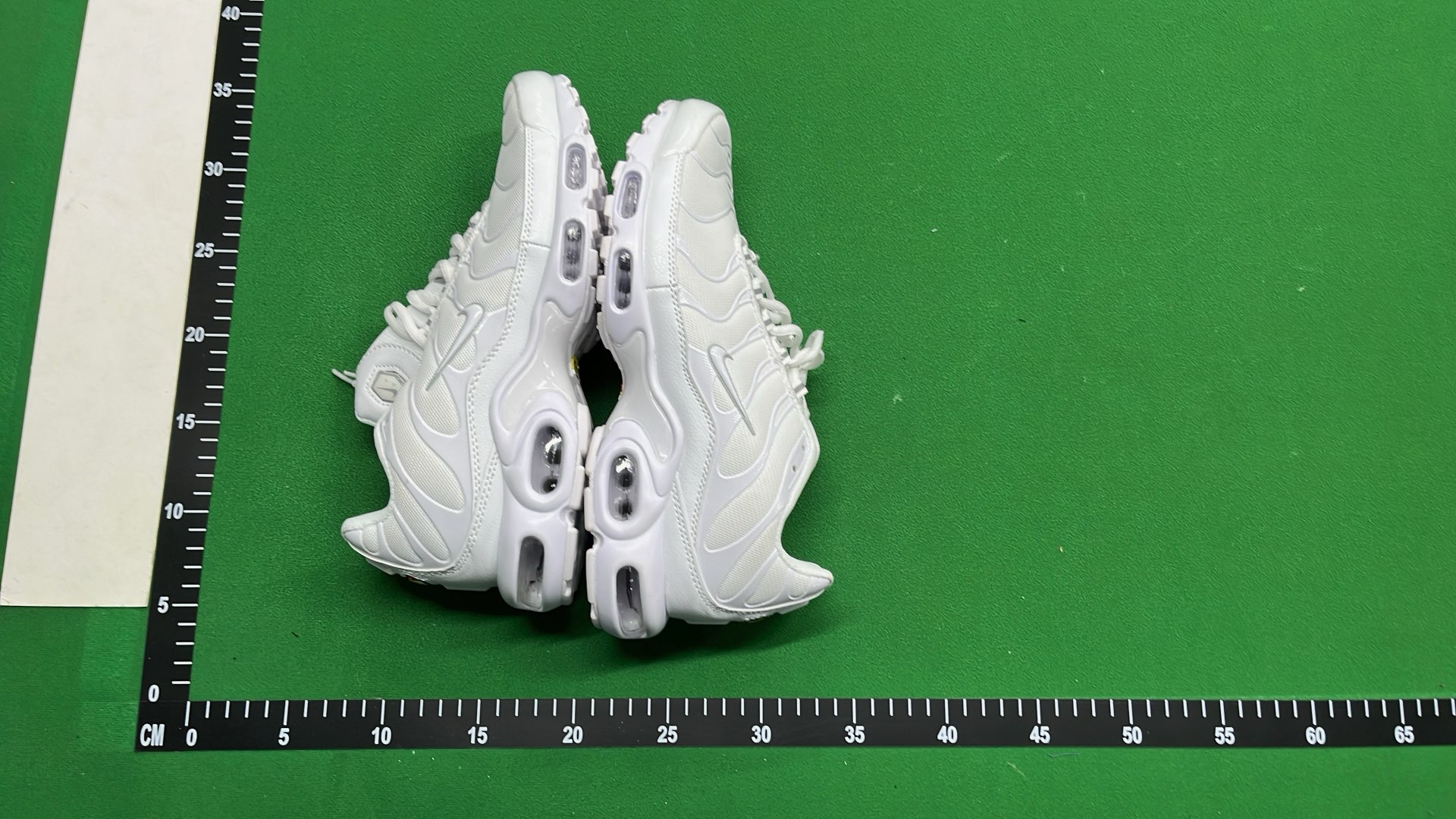 Nike Air Max Plus TN Sneakers for Men and Women