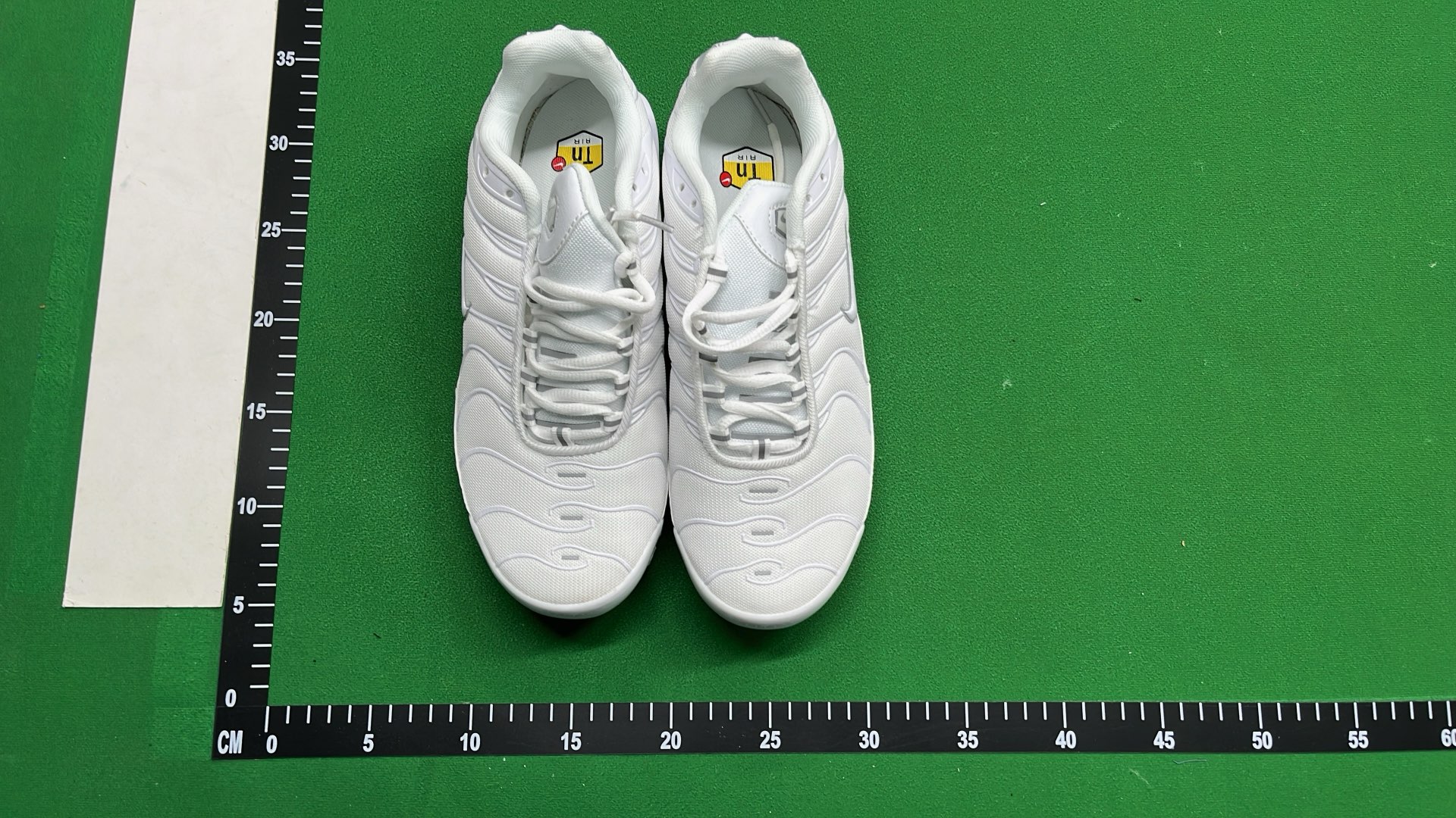 Nike Air Max Plus TN Sneakers for Men and Women