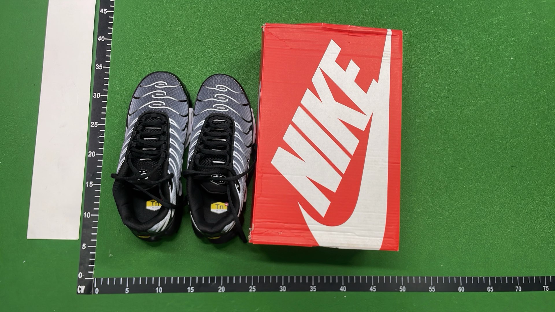 Nike Air Max Plus TN Sneakers for Men and Women