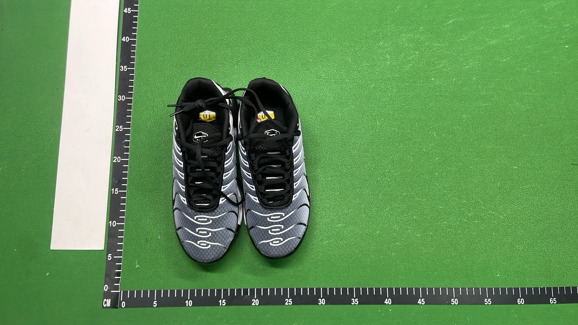 Nike Air Max Plus TN Sneakers for Men and Women