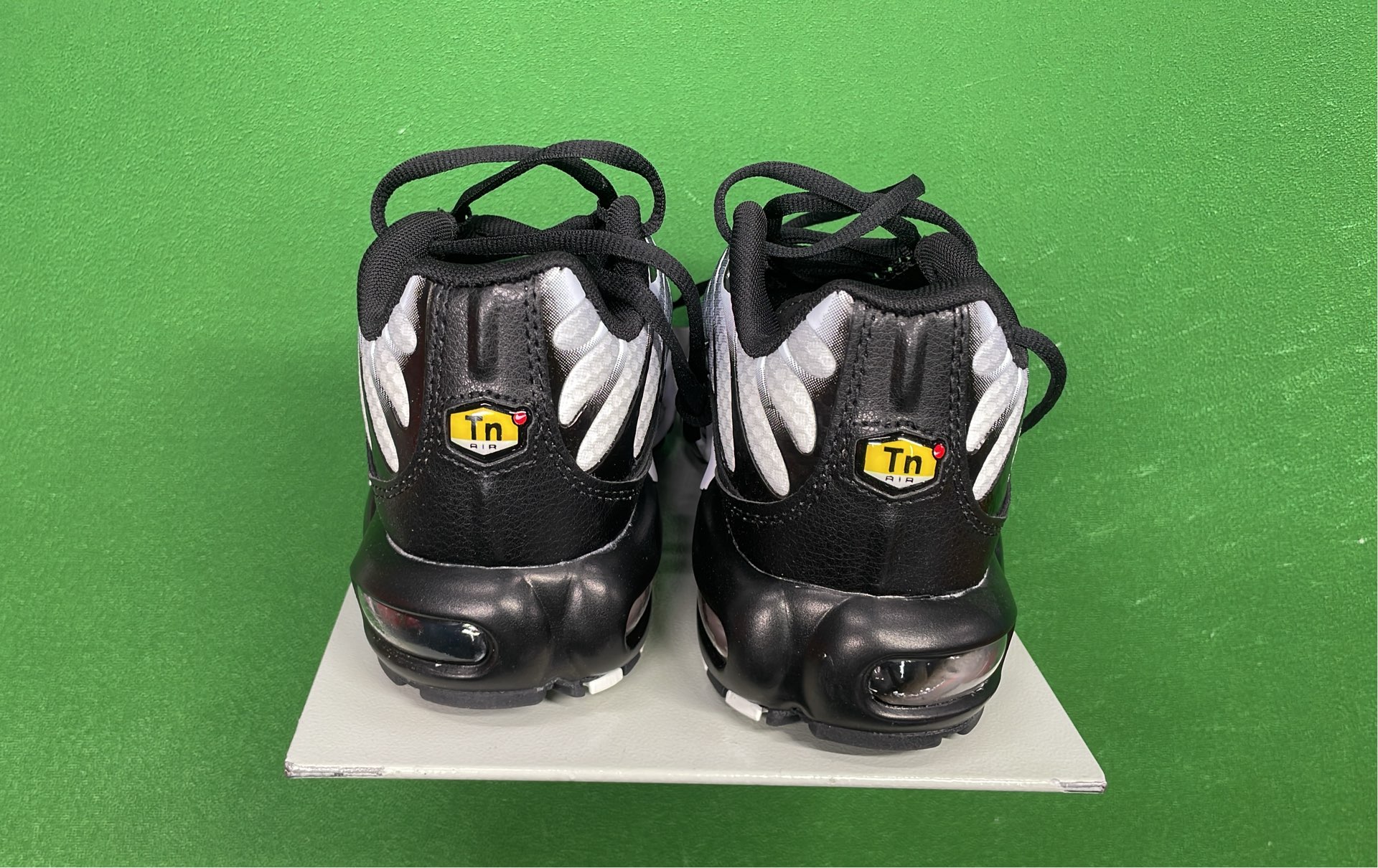 Nike Air Max Plus TN Sneakers for Men and Women