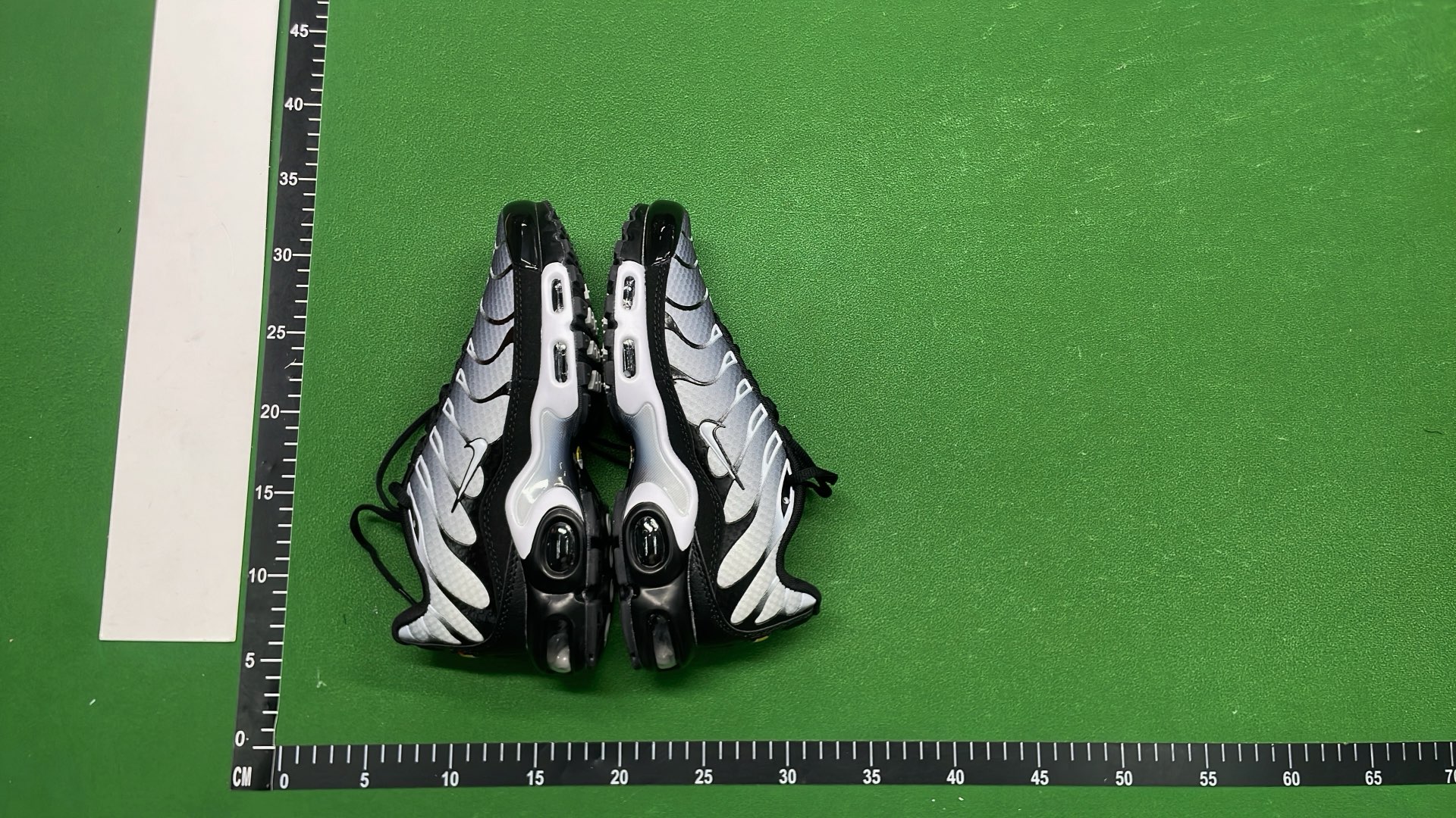 Nike Air Max Plus TN Sneakers for Men and Women
