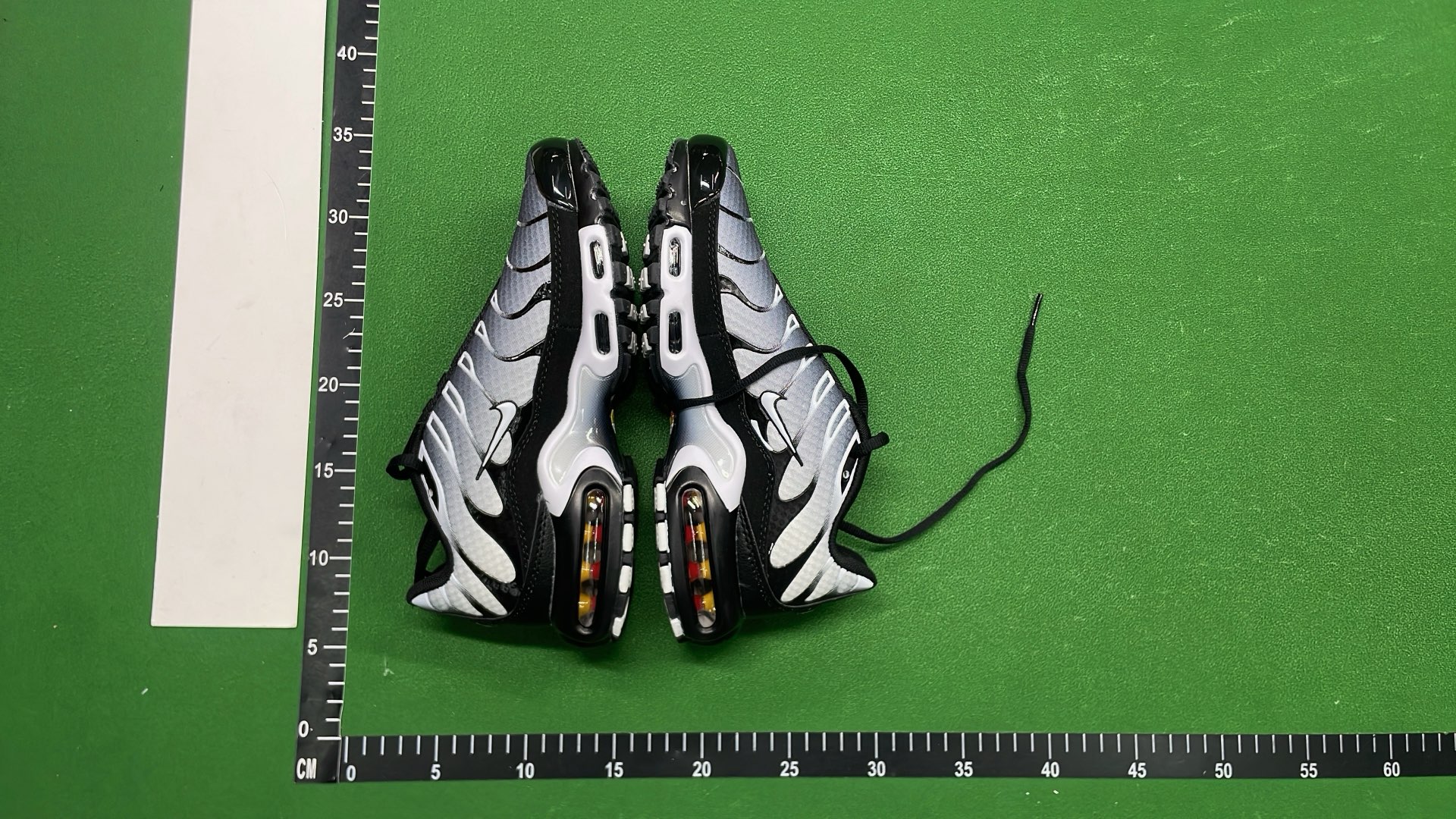 Nike Air Max Plus TN Sneakers for Men and Women