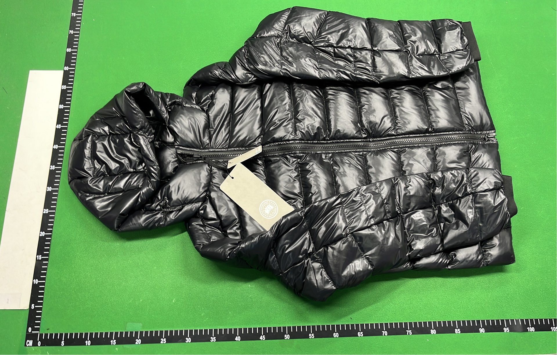 Canada Goose Lightweight Down Jacket with Hood
