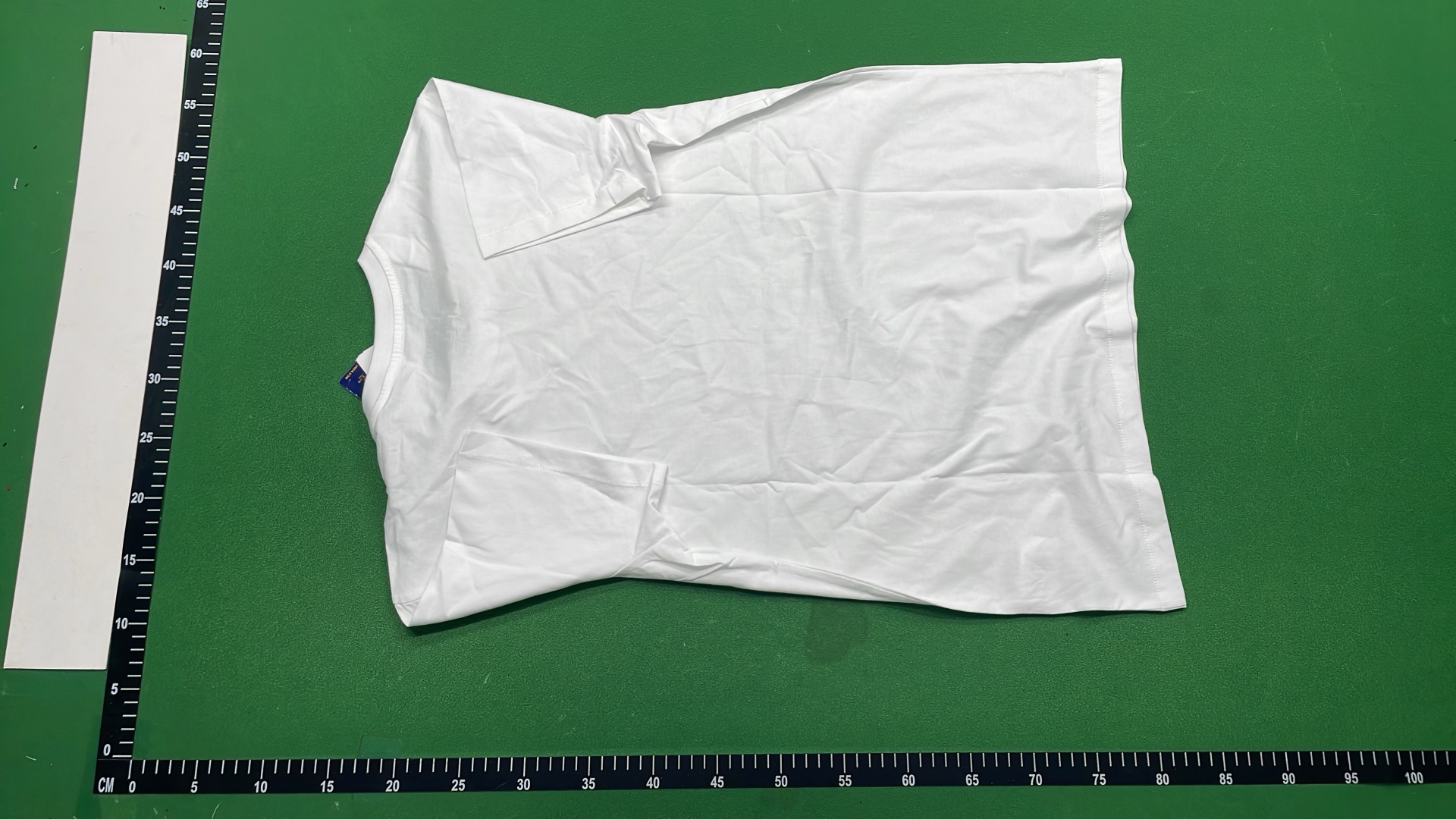 Polo Ralph Lauren Classic Fit Cotton T-Shirt for Men