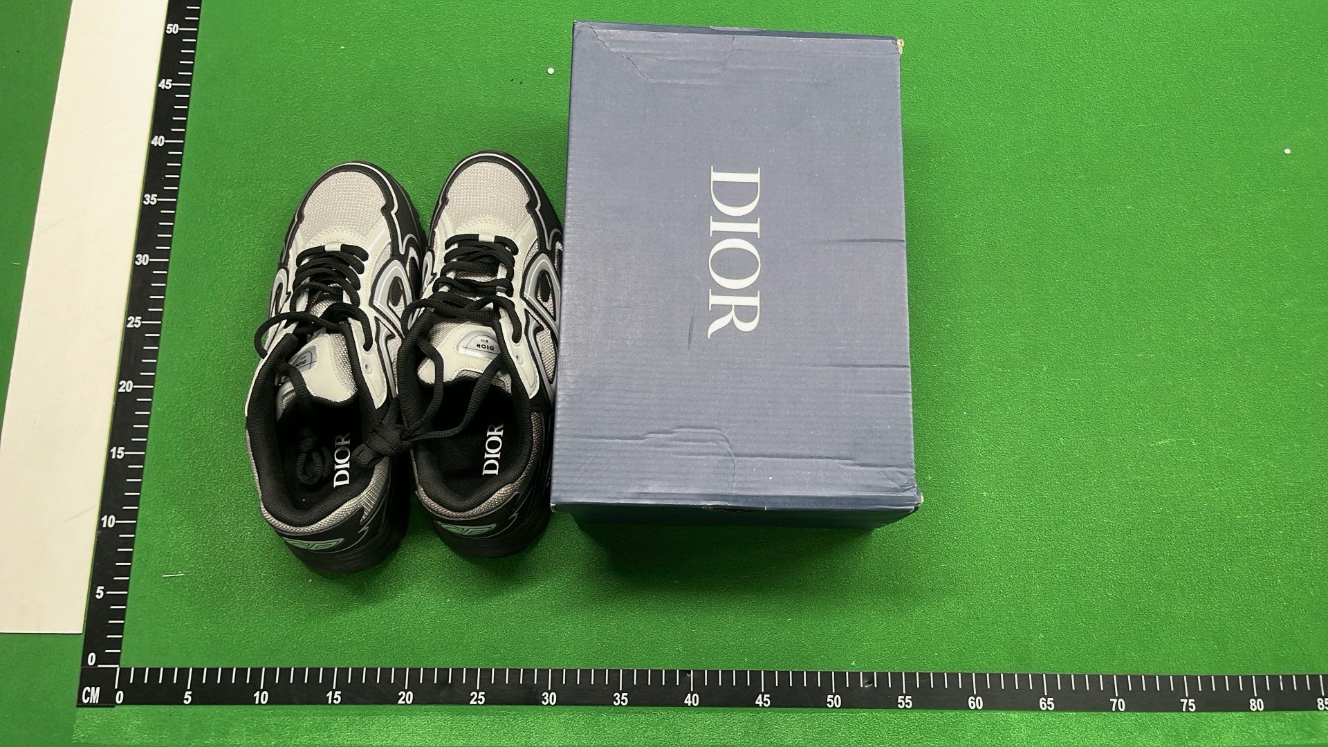 Dior Sneakers - Luxury Fashion Footwear for Men and Women