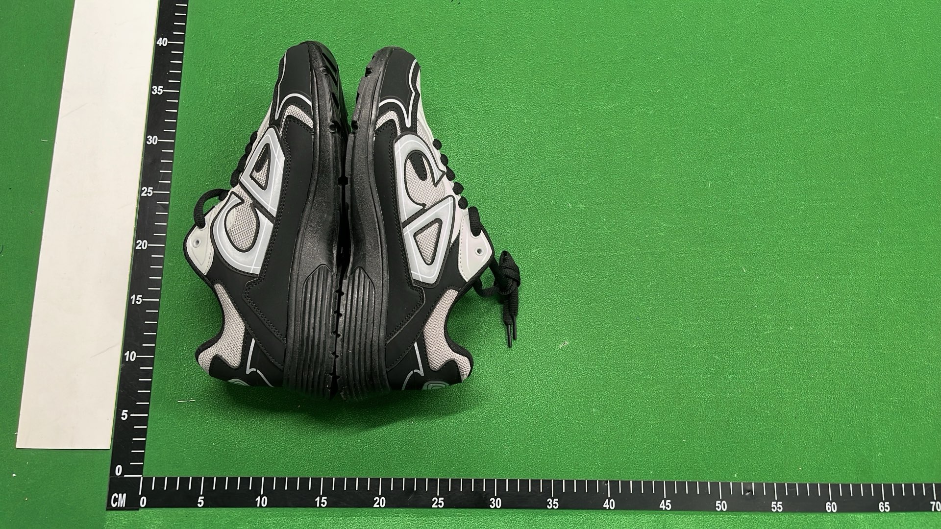 Dior Sneakers - Luxury Fashion Footwear for Men and Women