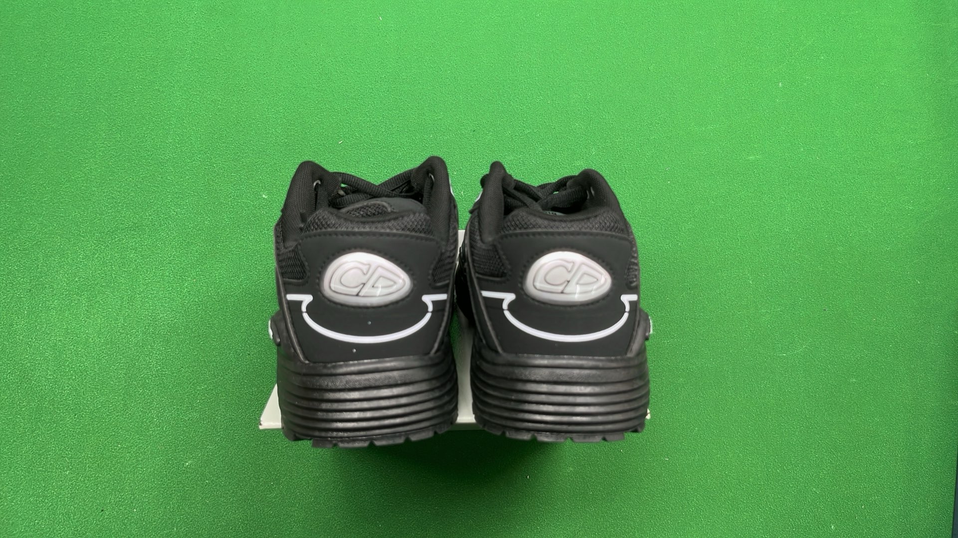 Dior CD Logo Sneakers - Premium Fashion Running Shoes