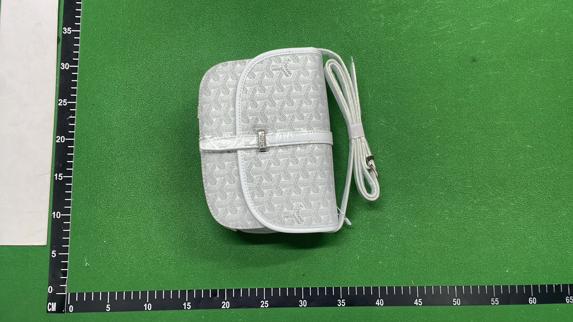 Goyard Saint Louis PM Bag with Monogram Pattern