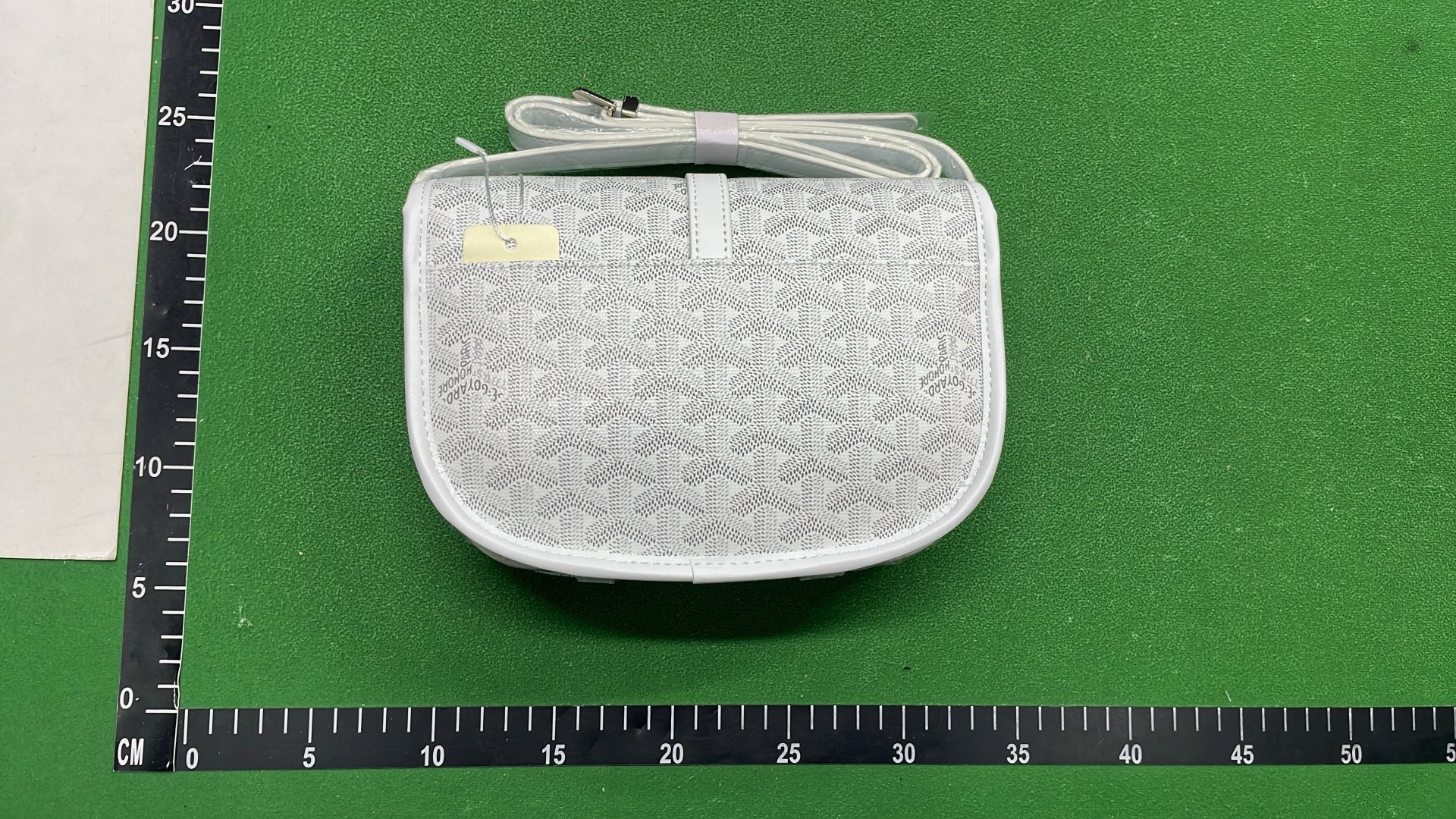 Goyard Saint Louis PM Bag with Monogram Pattern