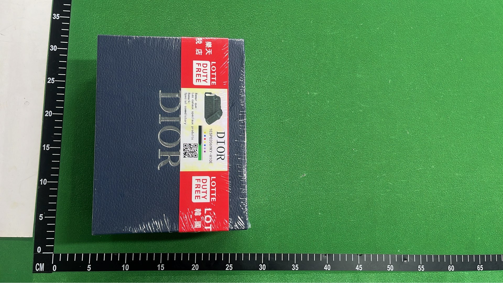Dior Oblique Print Camera Bag