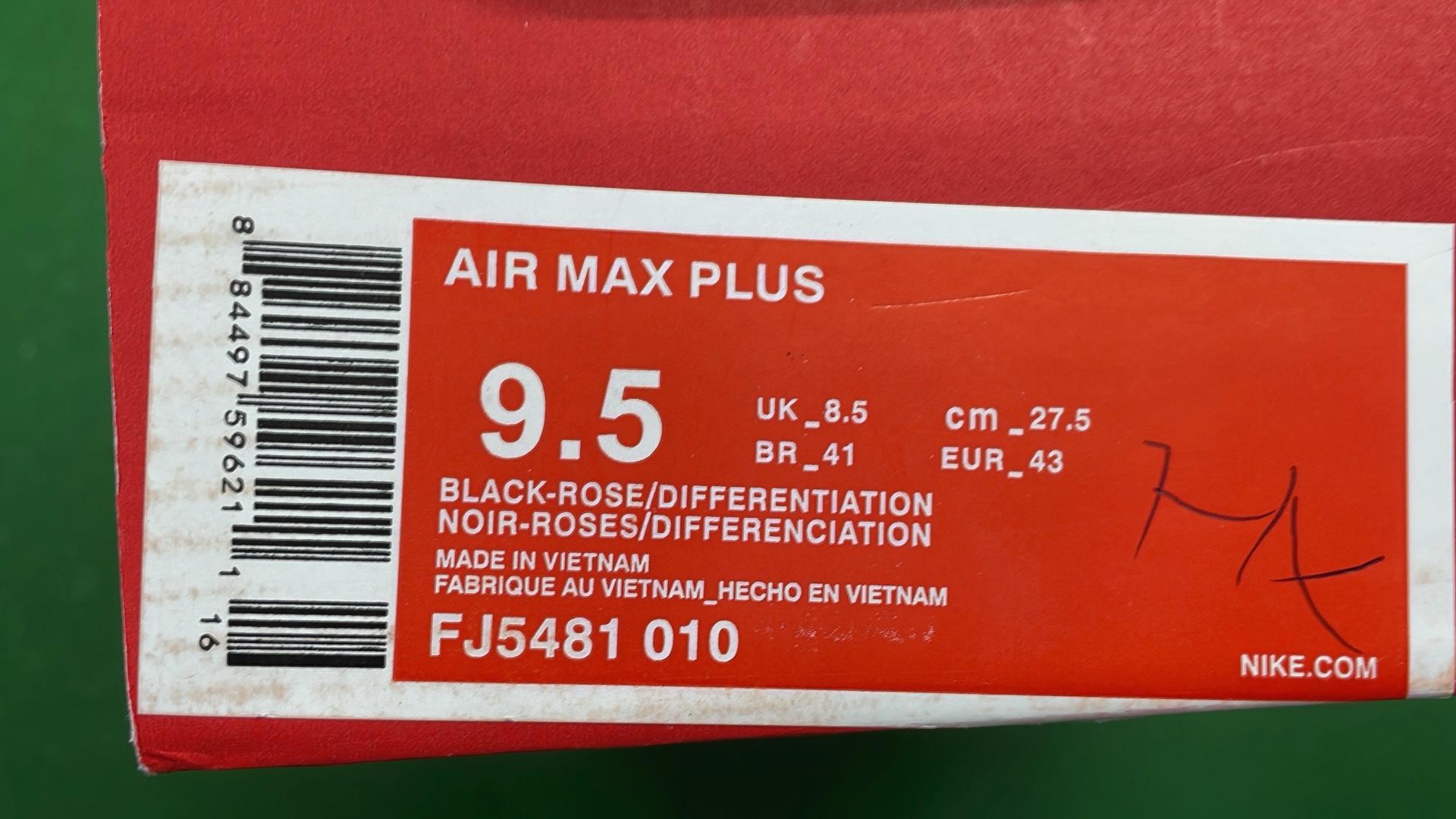 Nike Air Max Plus TN Sneakers for Men and Women