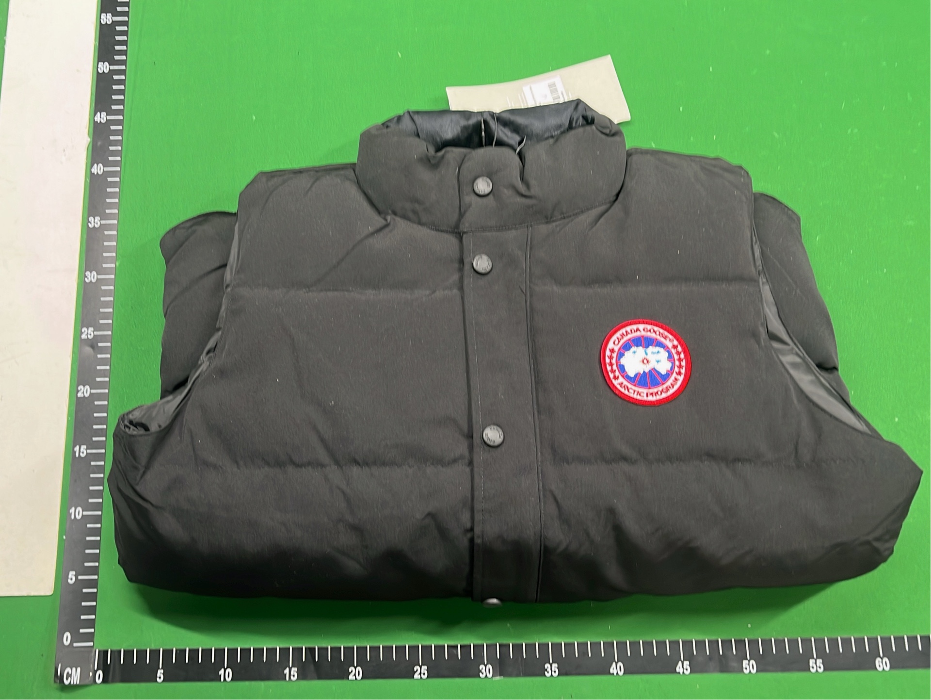 Canada Goose Down Jackets & Vests for Winter
