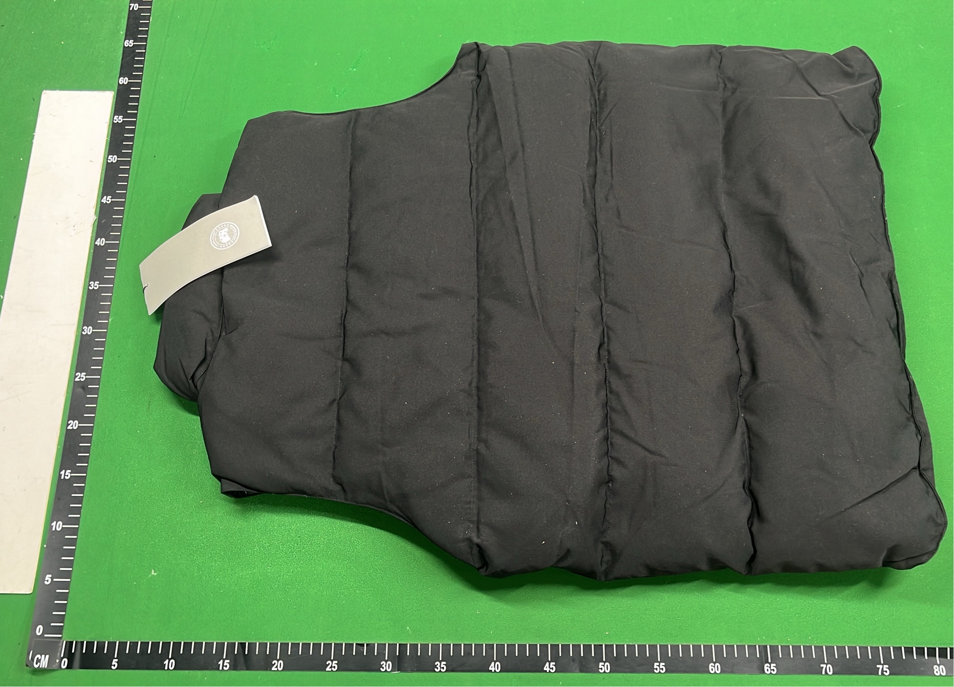 Canada Goose Down Jackets & Vests for Winter