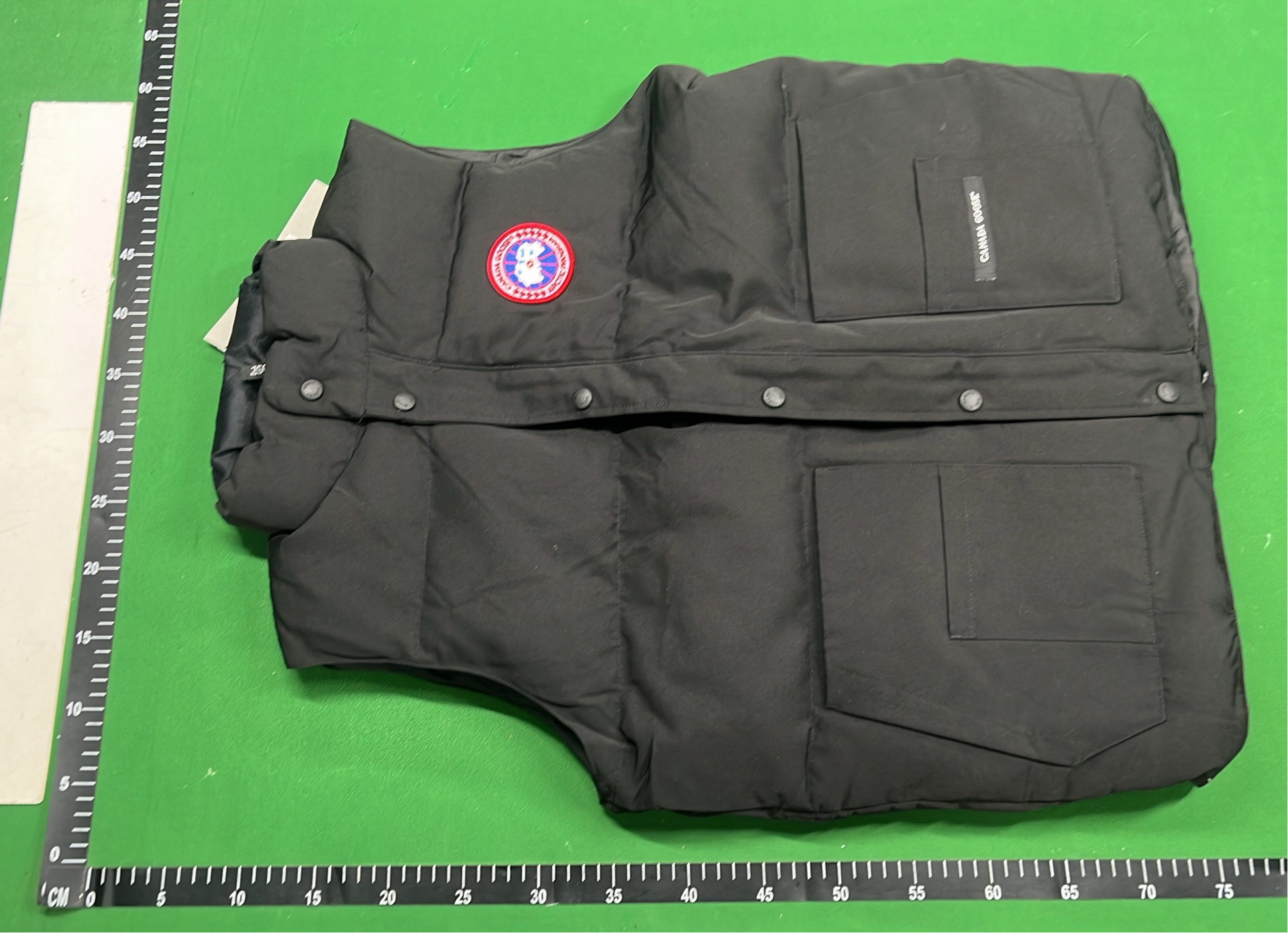 Canada Goose Down Jackets & Vests for Winter
