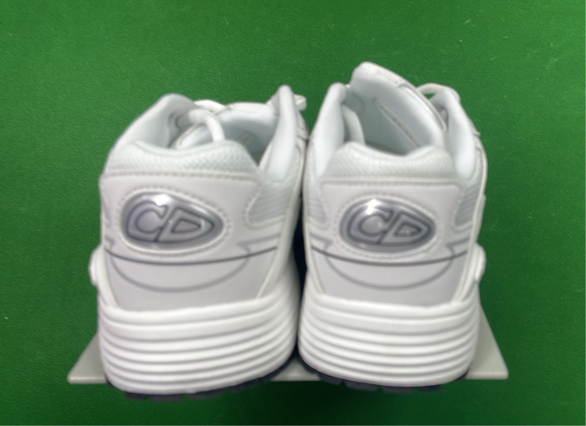 Dior B23 High-Top Sneakers