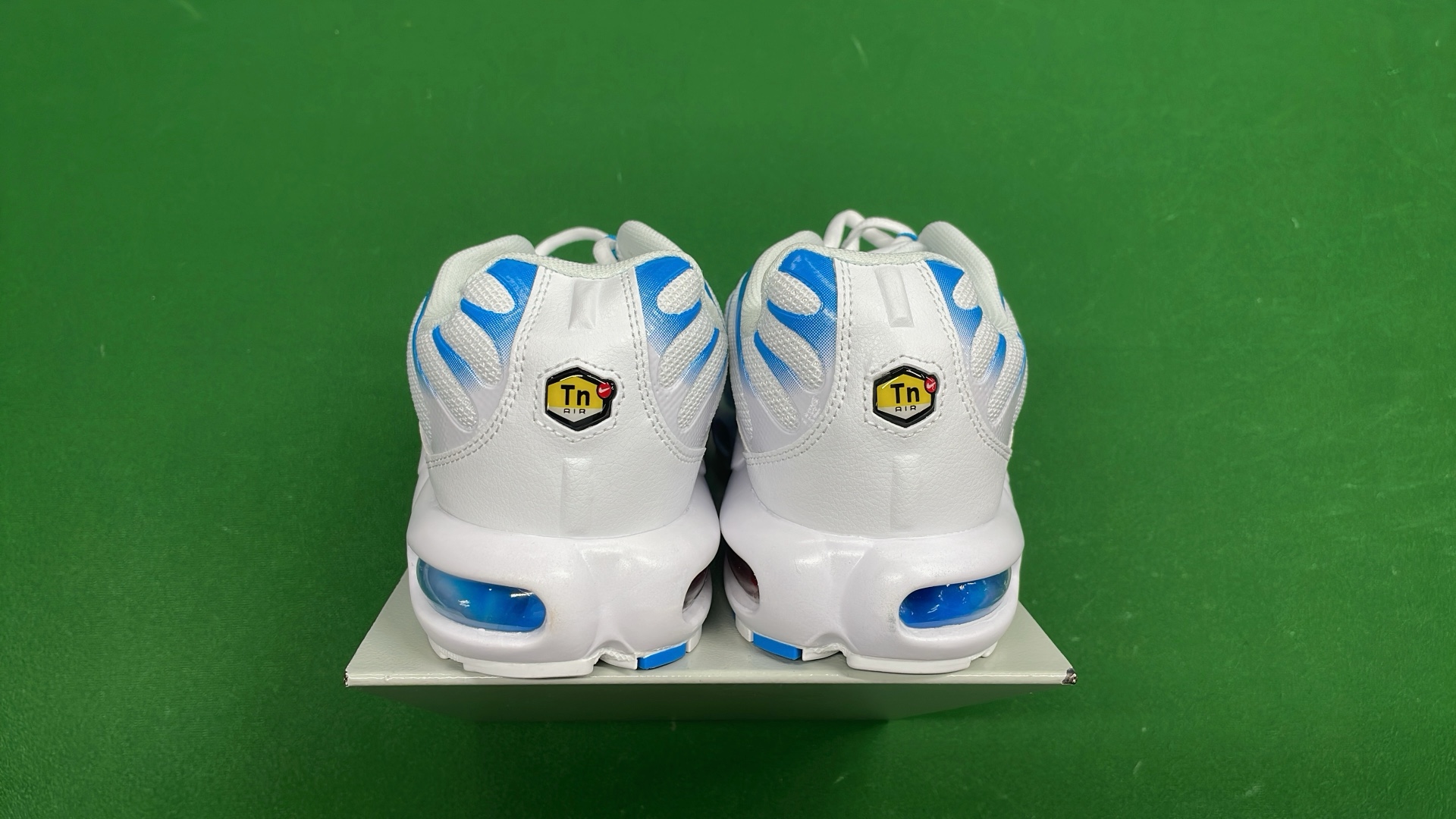 Nike Air Max Plus TN Sneakers for Men and Women