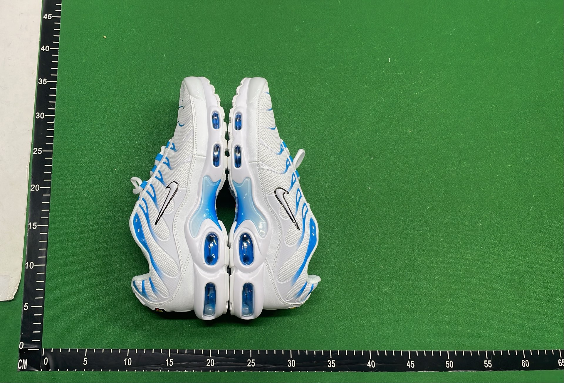 Nike Air Max Plus TN Sneakers for Men and Women