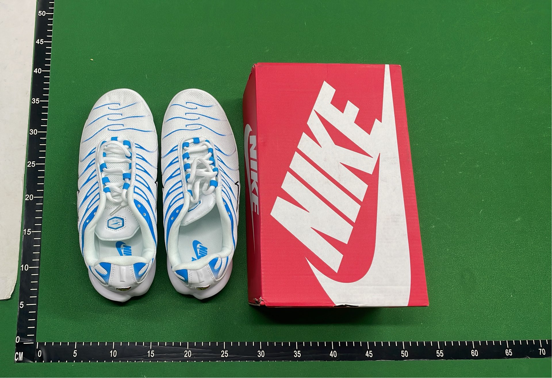 Nike Air Max Plus TN Sneakers for Men and Women