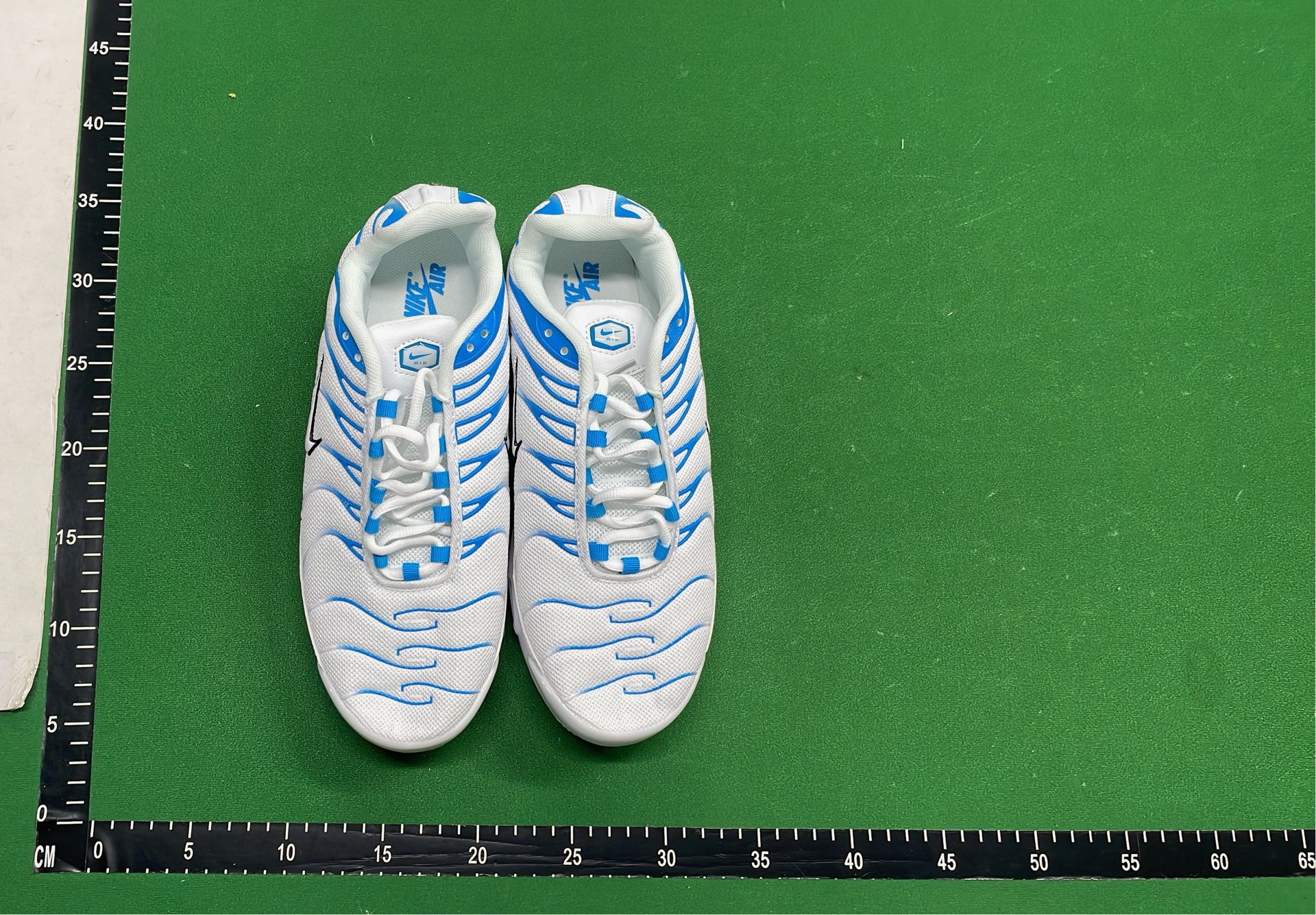 Nike Air Max Plus TN Sneakers for Men and Women