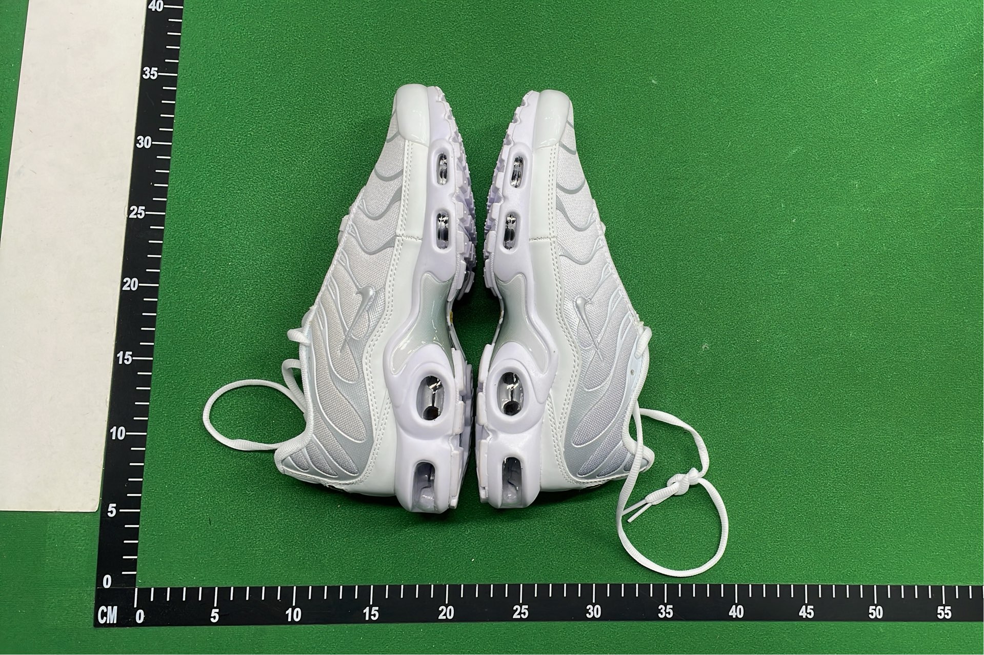 Nike Air Max Plus TN 95 Sneakers - Gradient Color Design