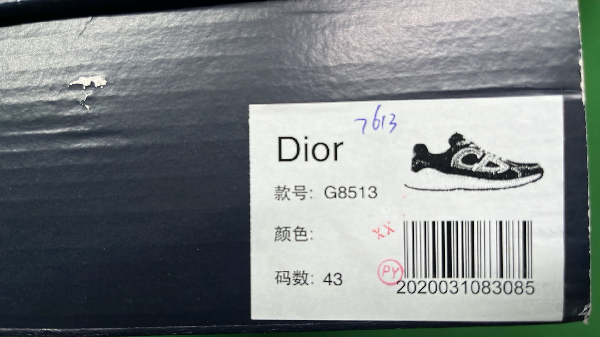 Dior Black Sneakers with White Outlines