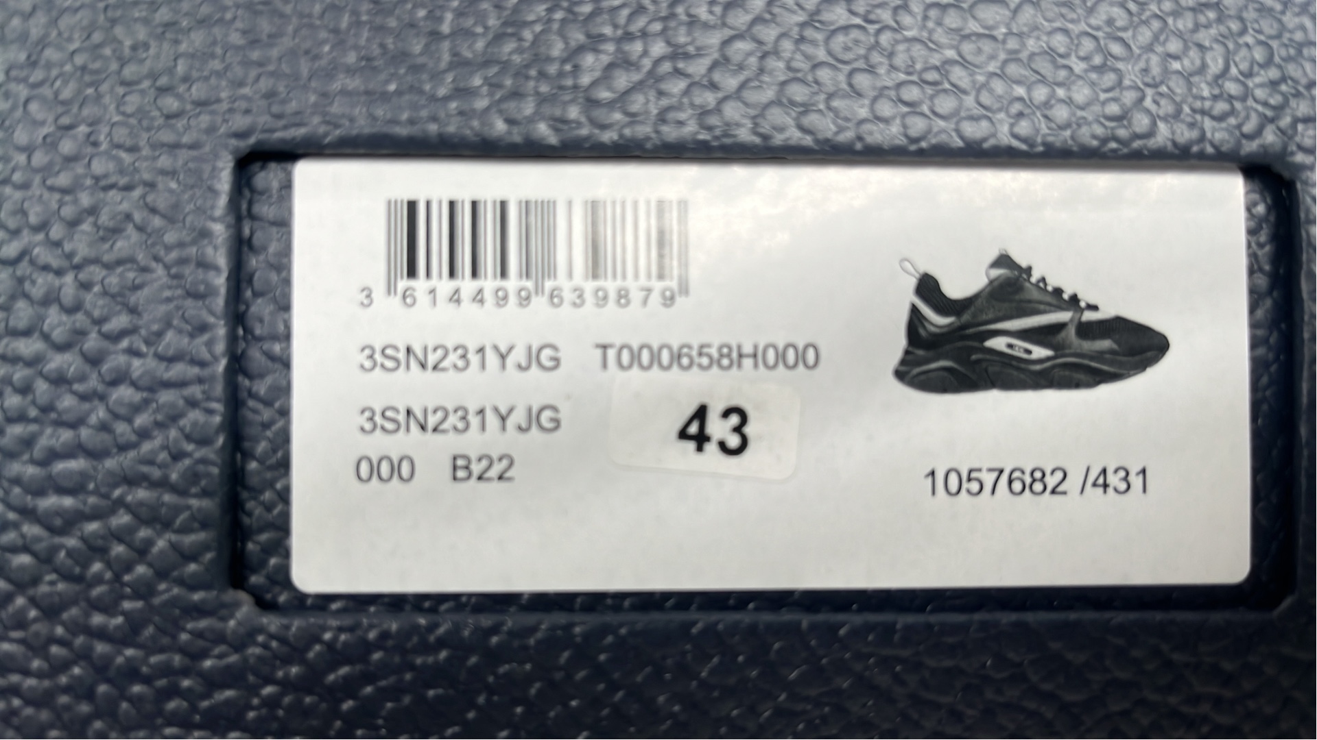 Dior B23 High-Top Sneakers for Men and Women