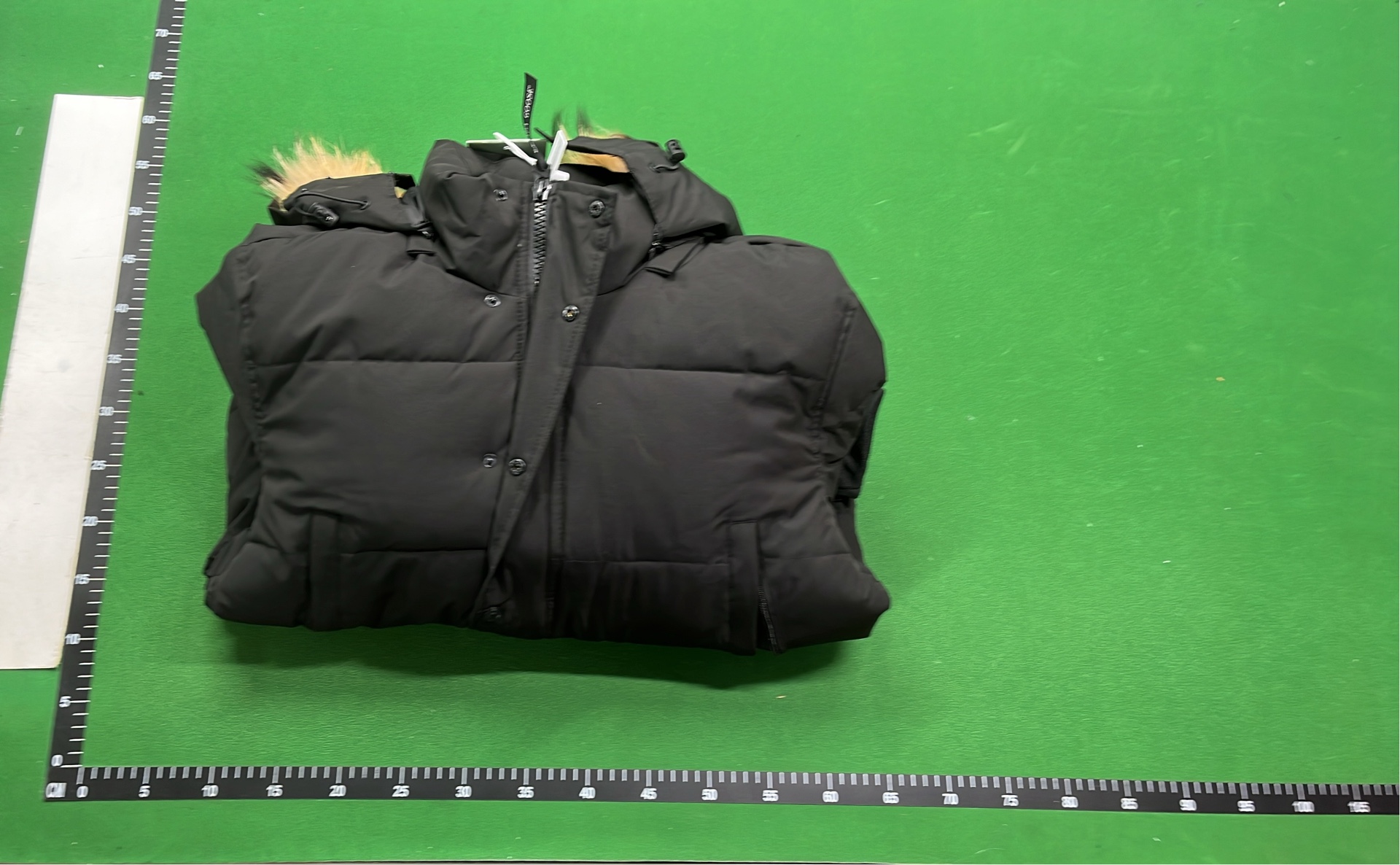 Canada Goose Down Jacket with Fur Trim Hood