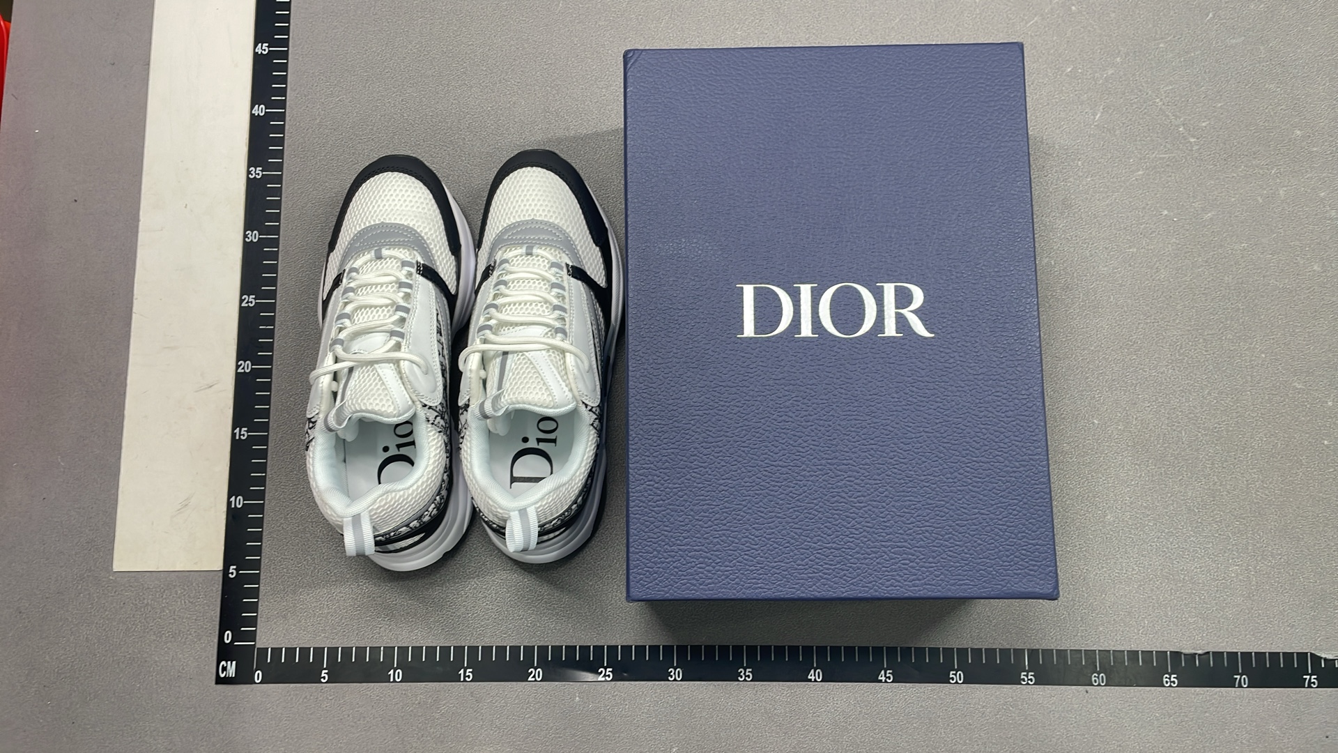 Dior x Stone Sneakers - Fashionable Chunky Trainers for Men