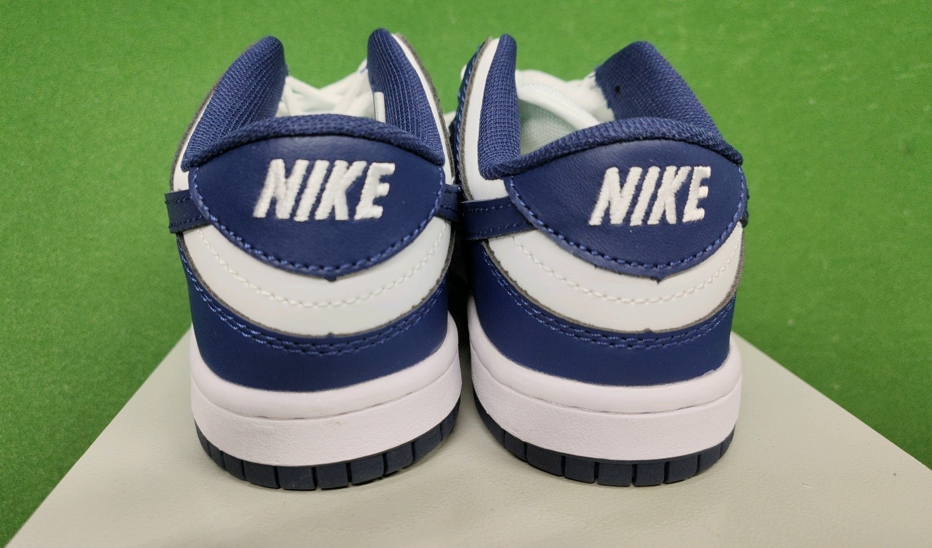 Nike Dunk Low Kids Shoes Multi Colors