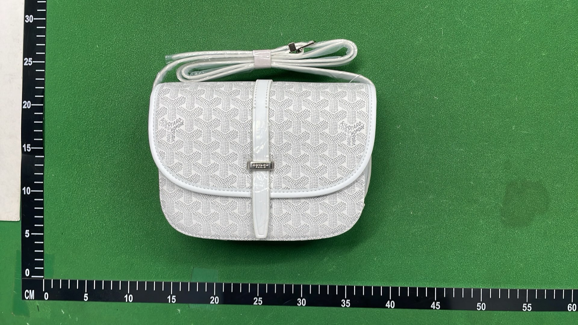 Goyard Saint Louis PM Bag with Monogram Pattern