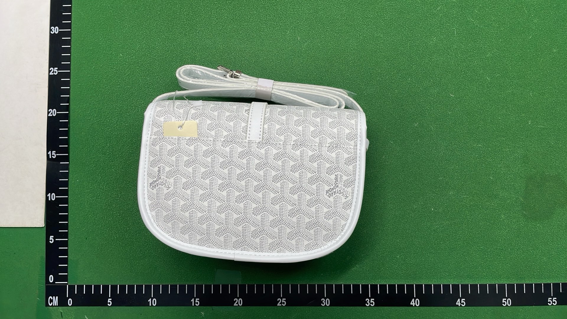 Goyard Saint Louis PM Bag with Monogram Pattern