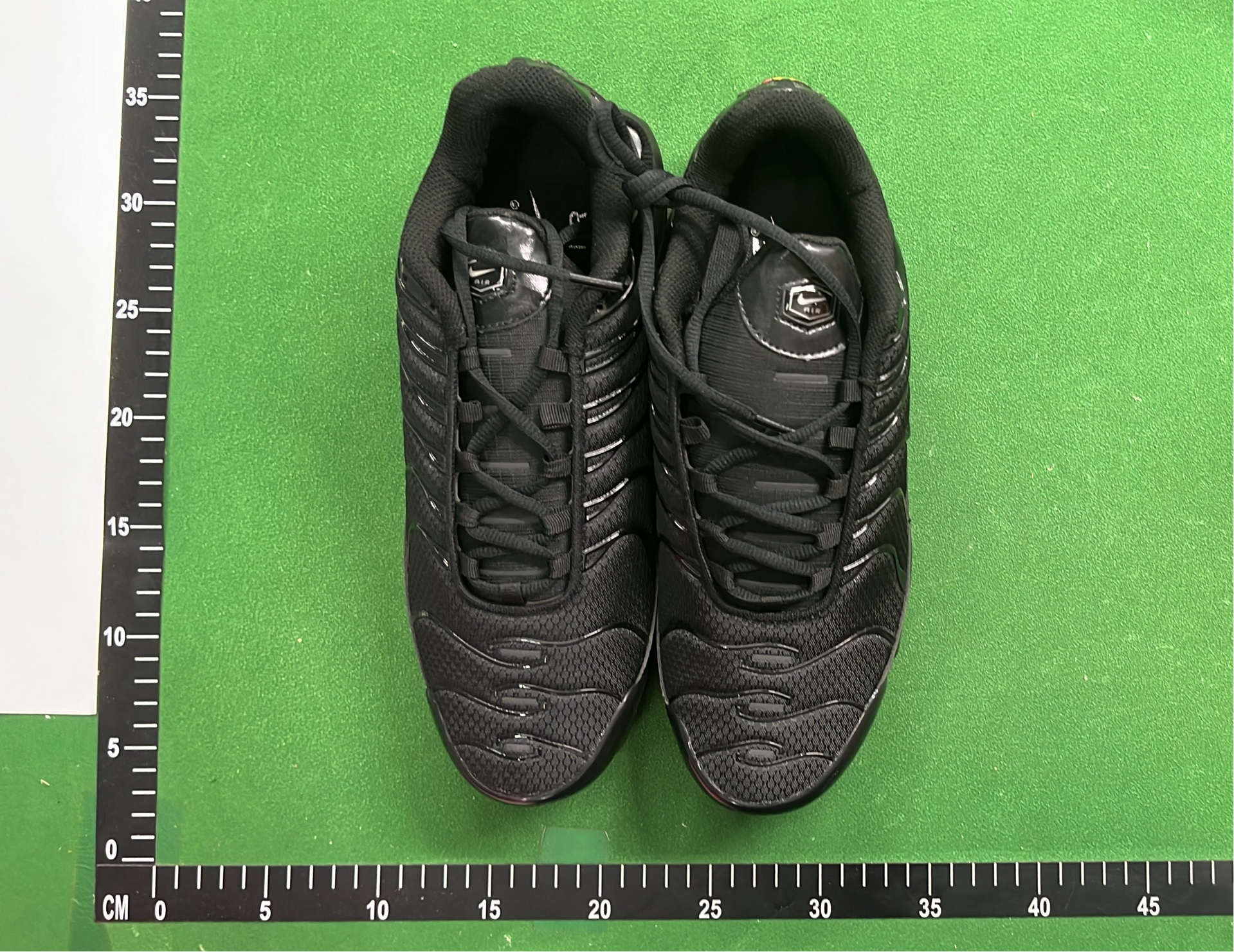 Nike Air Max Plus TN Sneakers for Men and Women