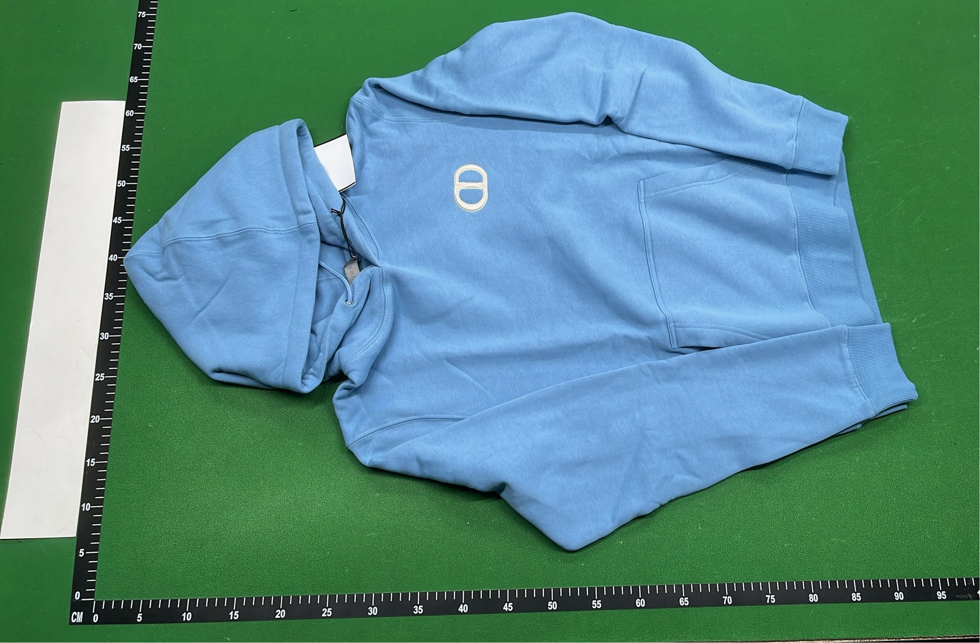 Champion Light Blue Hoodie with Logo