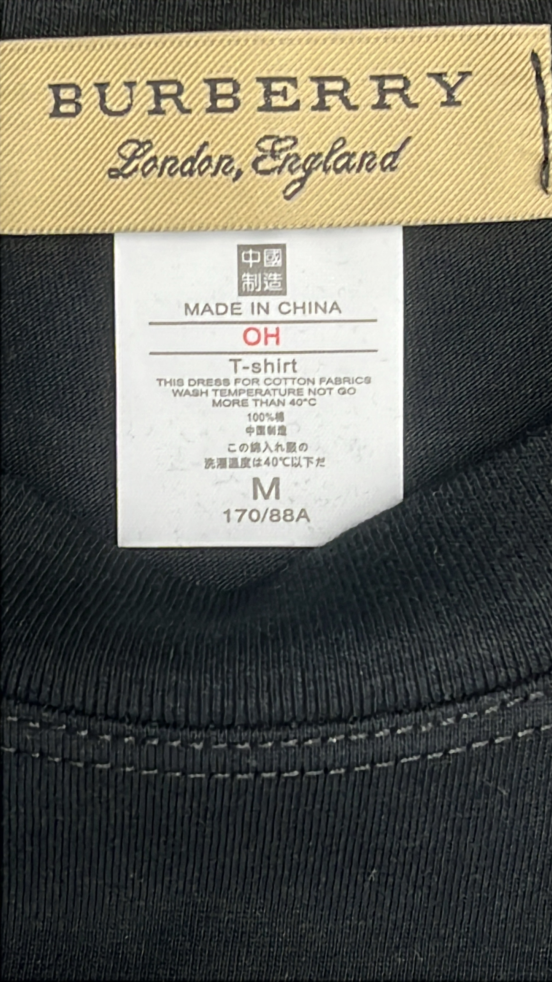 Burberry Logo T-Shirt for Men - Black and White Styles