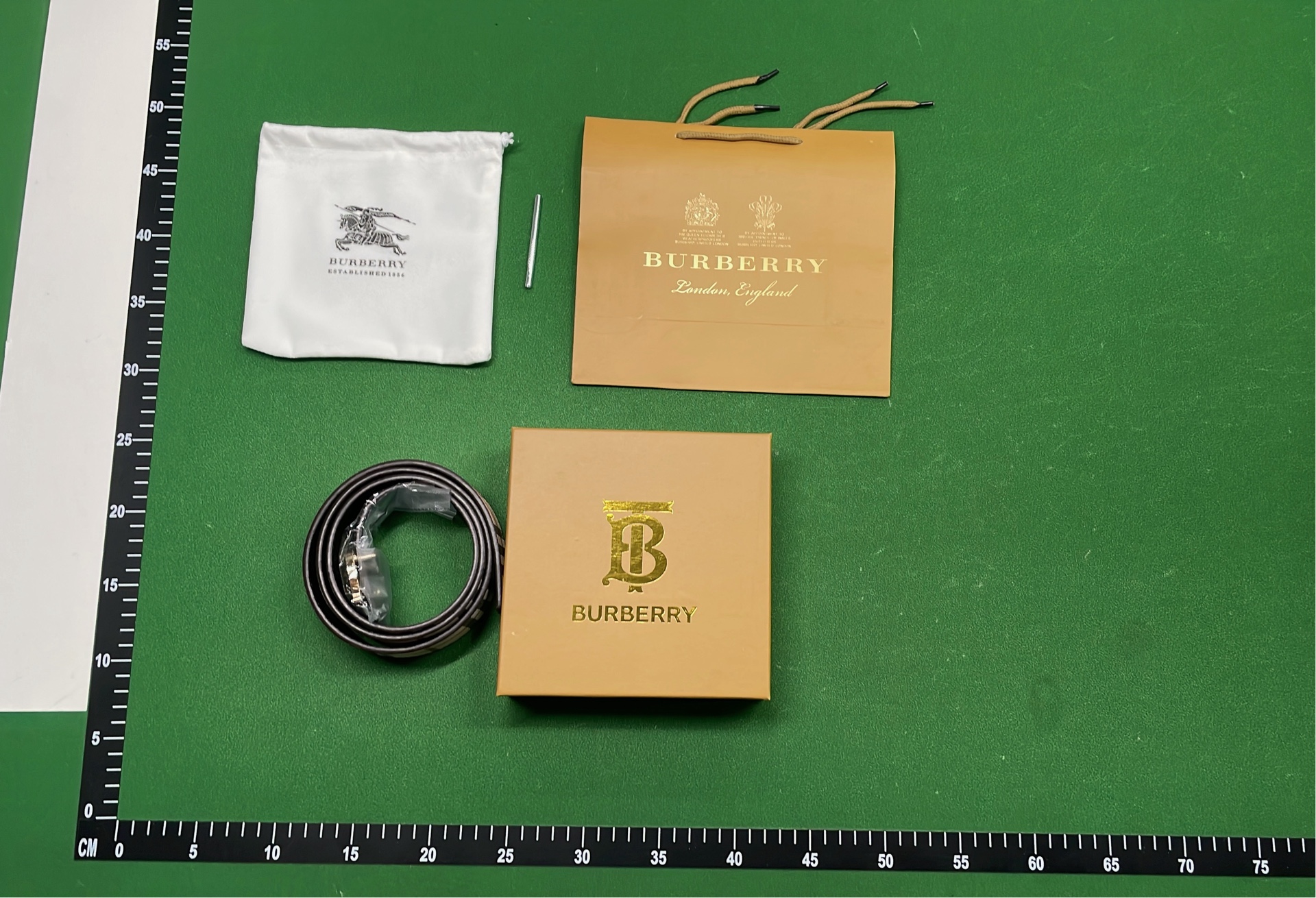 Burberry Iconic Check Belt with Monogram Buckle