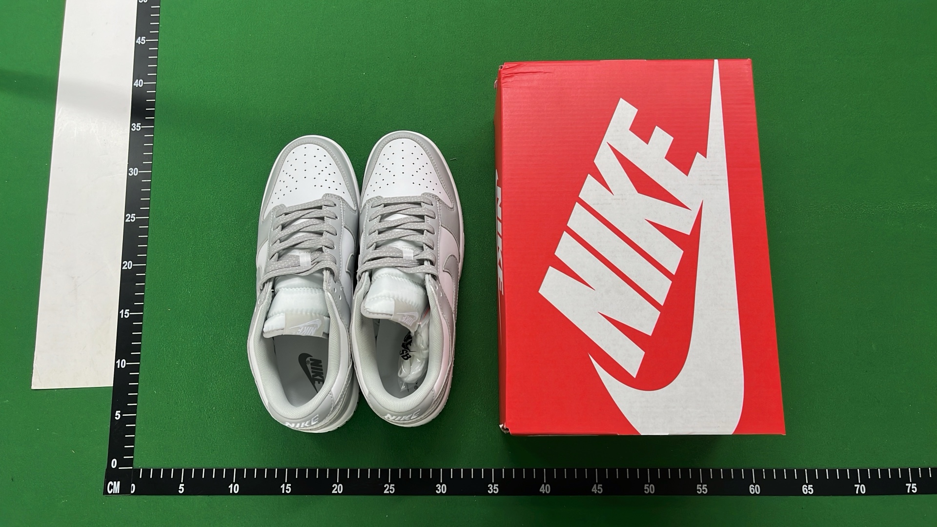 Nike Dunk Low Retro Shoes for Men and Women