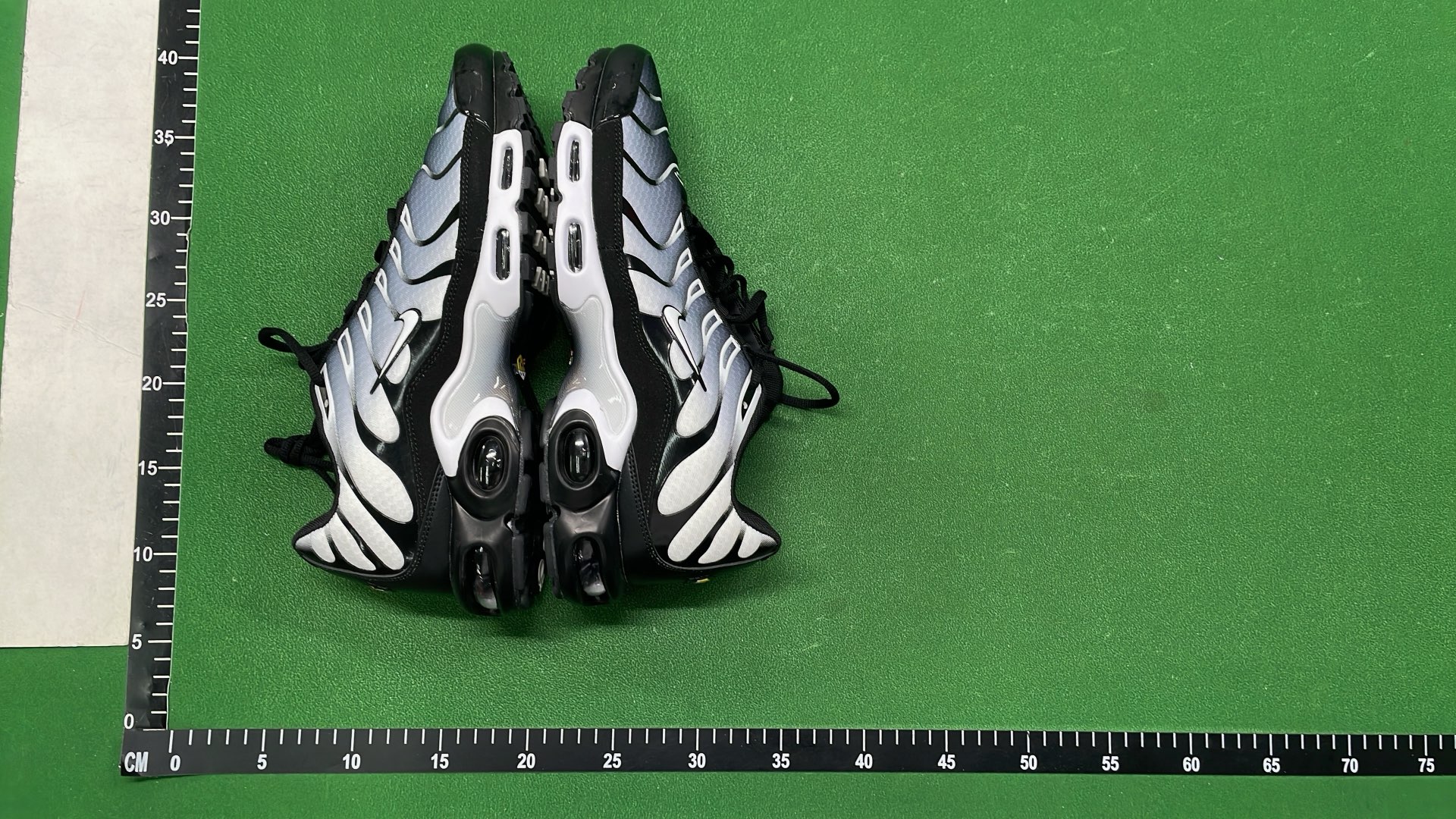 Nike Air Max Plus TN Sneakers for Men and Women