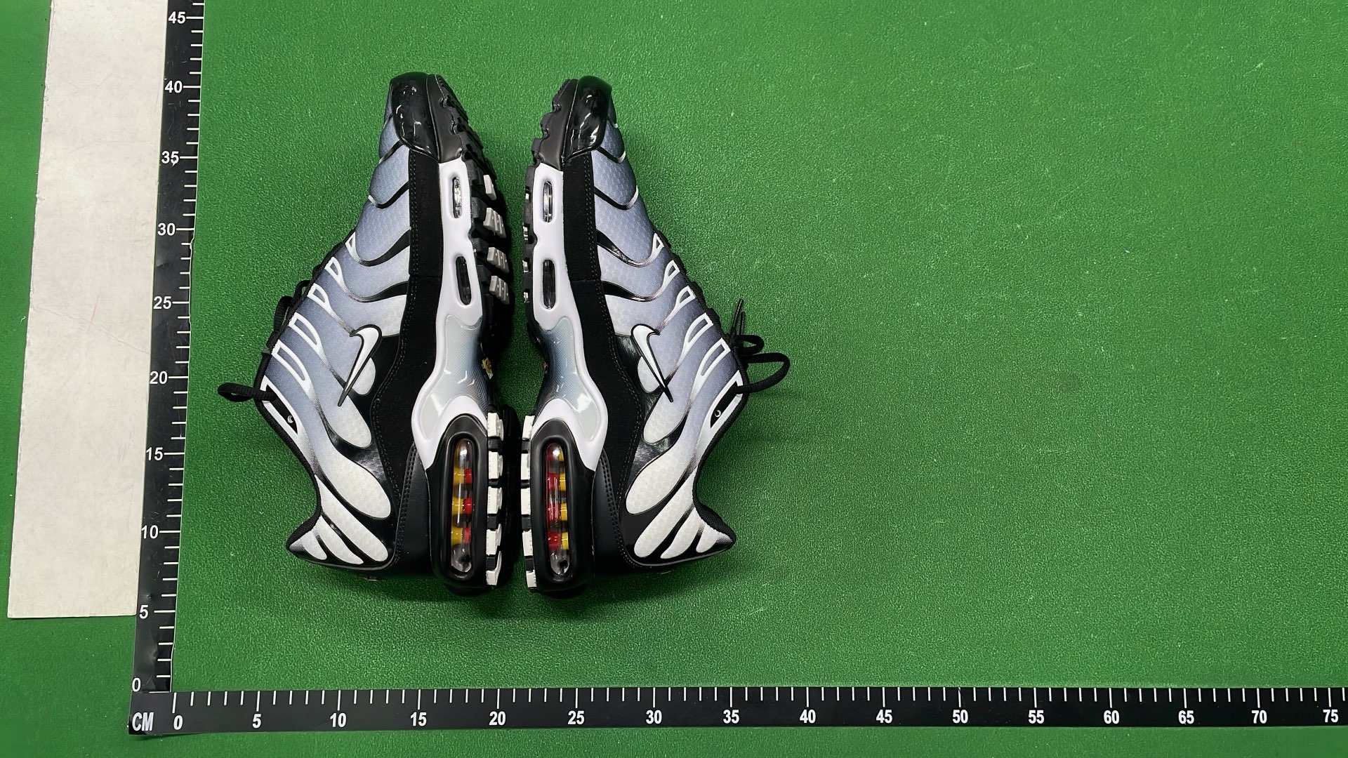 Nike Air Max Plus TN Sneakers for Men and Women