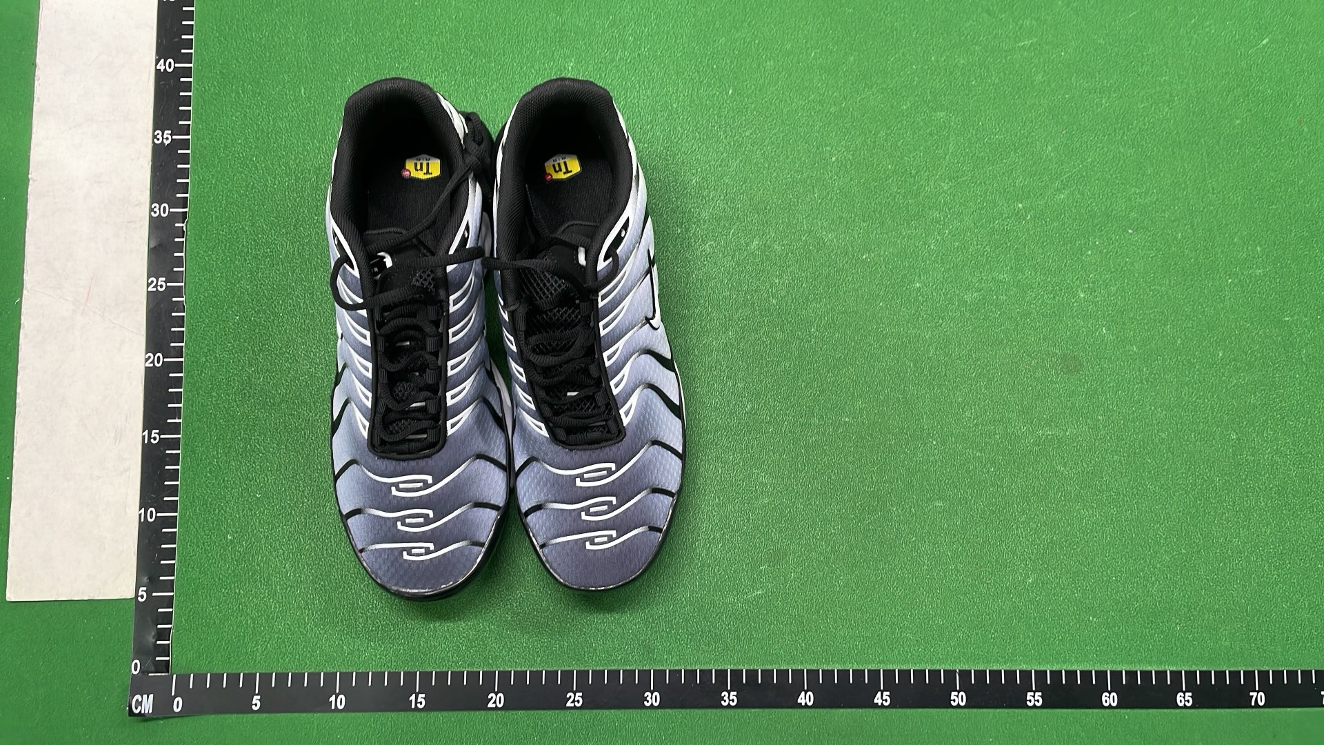 Nike Air Max Plus TN Sneakers for Men and Women
