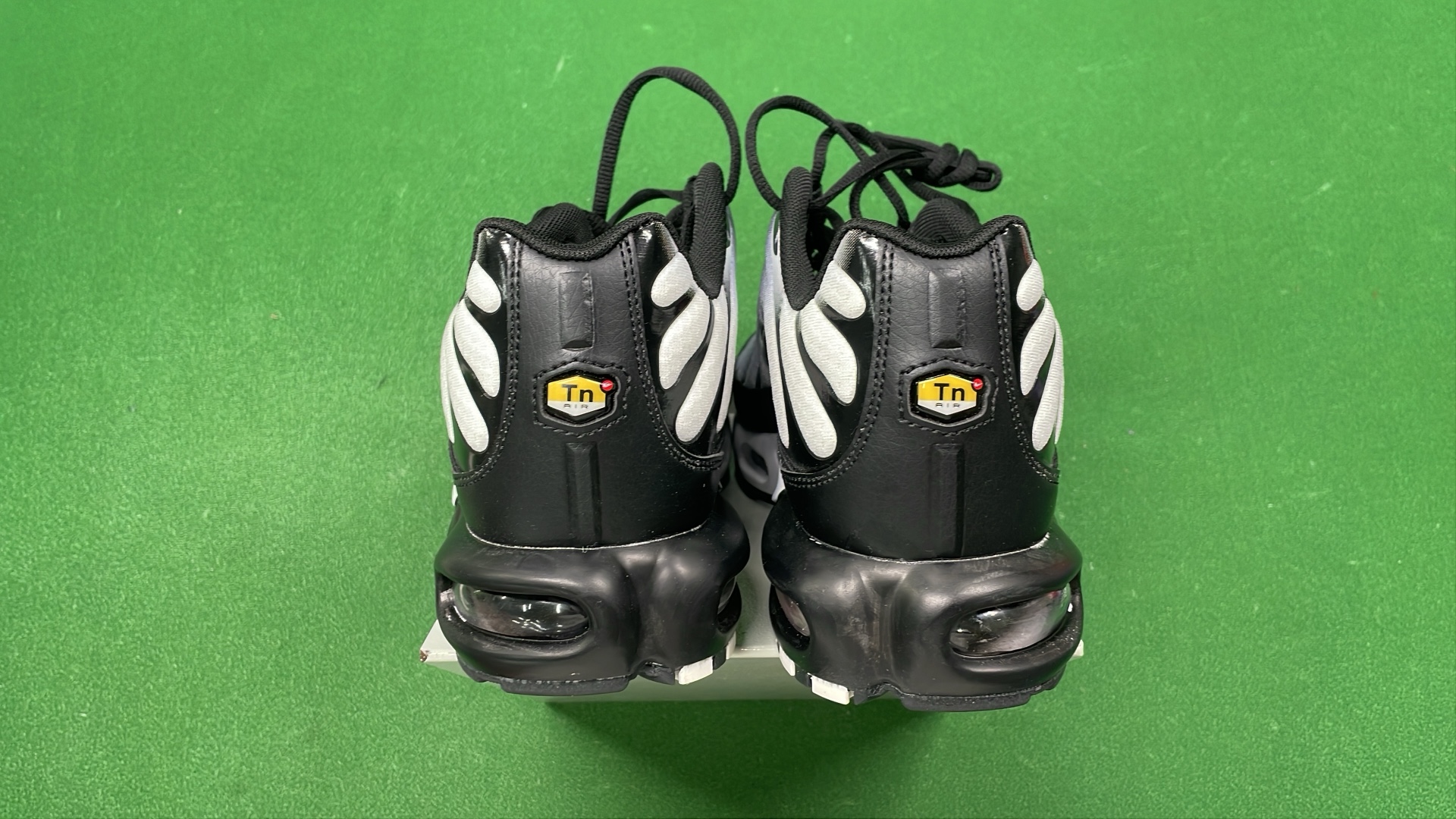 Nike Air Max Plus TN Sneakers for Men and Women