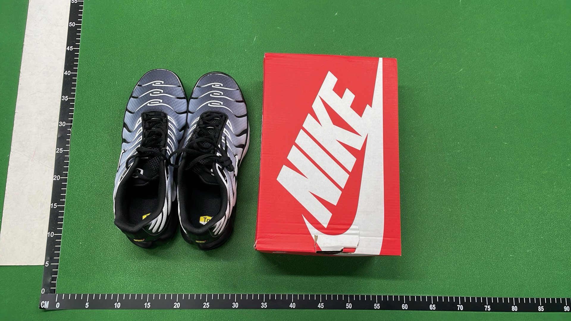 Nike Air Max Plus TN Sneakers for Men and Women