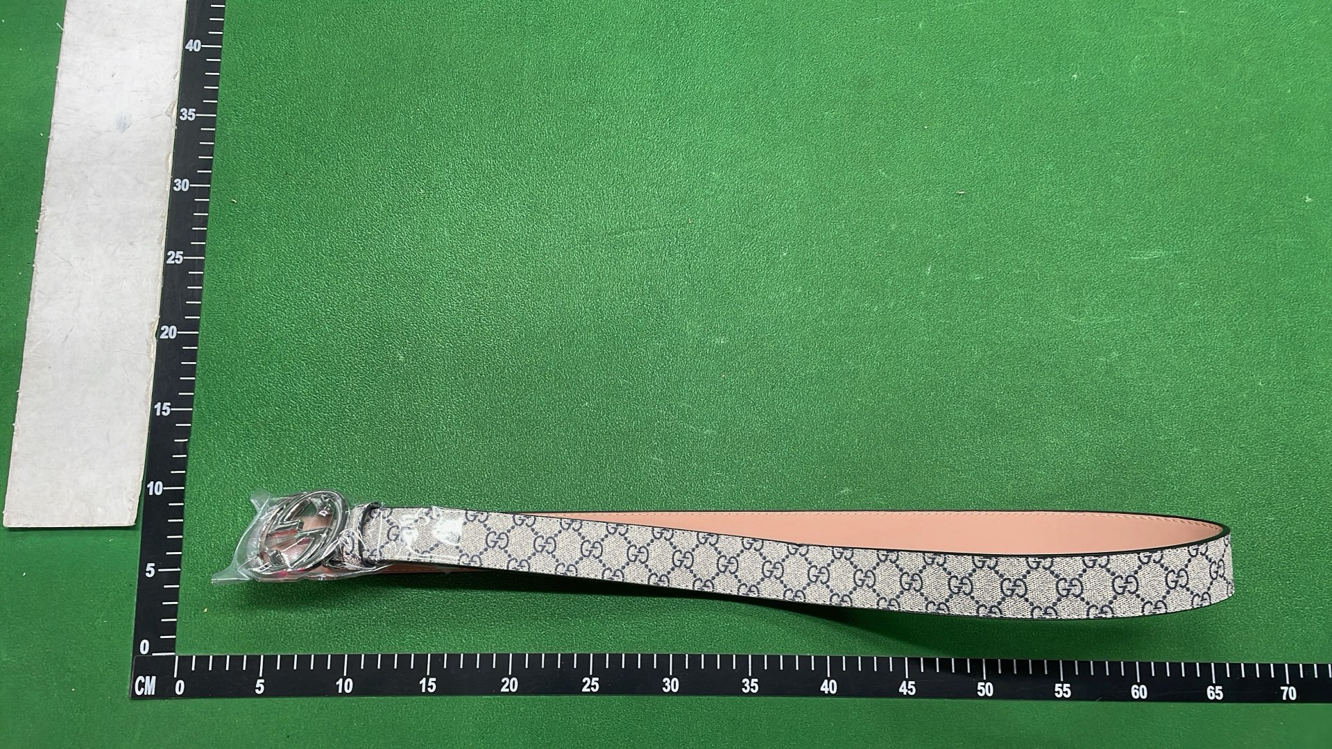 Gucci Web Stripe Belt with Silver Buckle